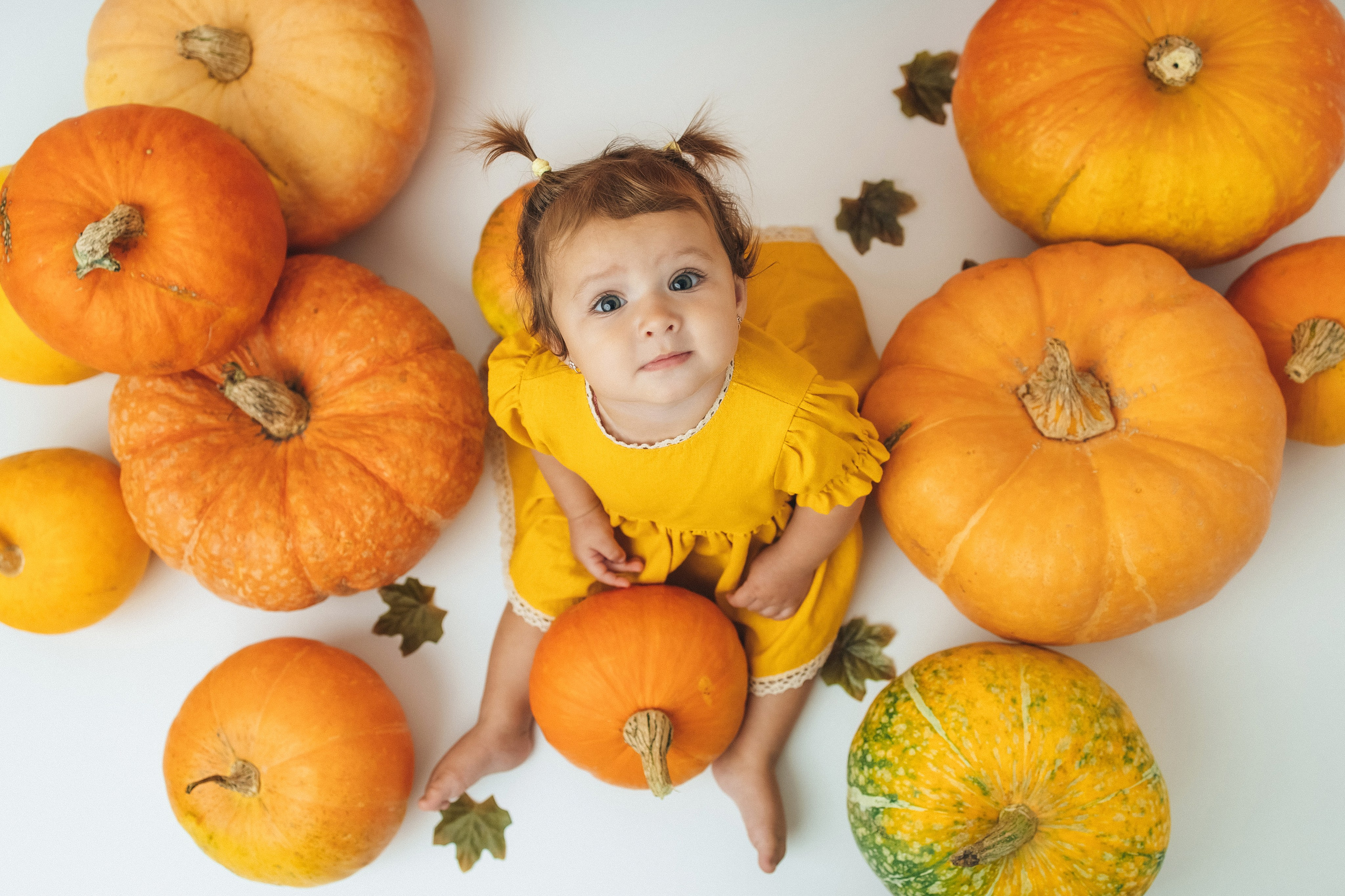 Годики в моей студии. Главная