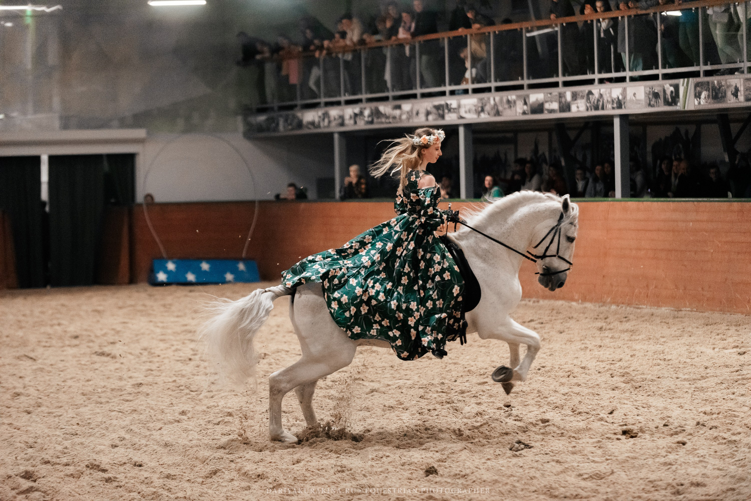 Конное представление «Дыхание Звёзд». Конный фотограф Куракина Дарья • Фотосессии с лошадьми