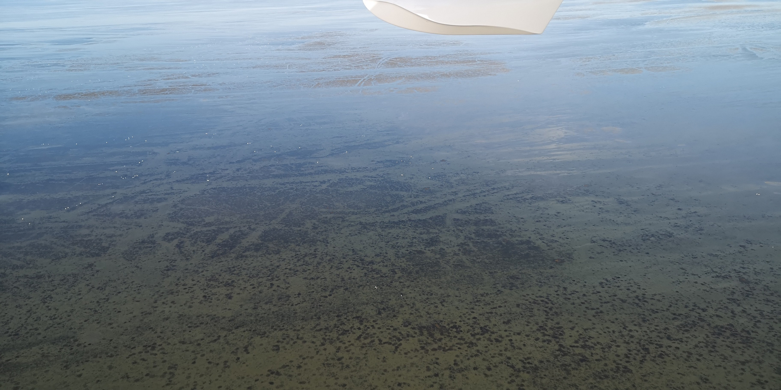 Каспийское море (наука на Ла-8) (2021 г.). Фотоальбом показывающий увлекательный мир авиации и мир медведей Андрея Иванова