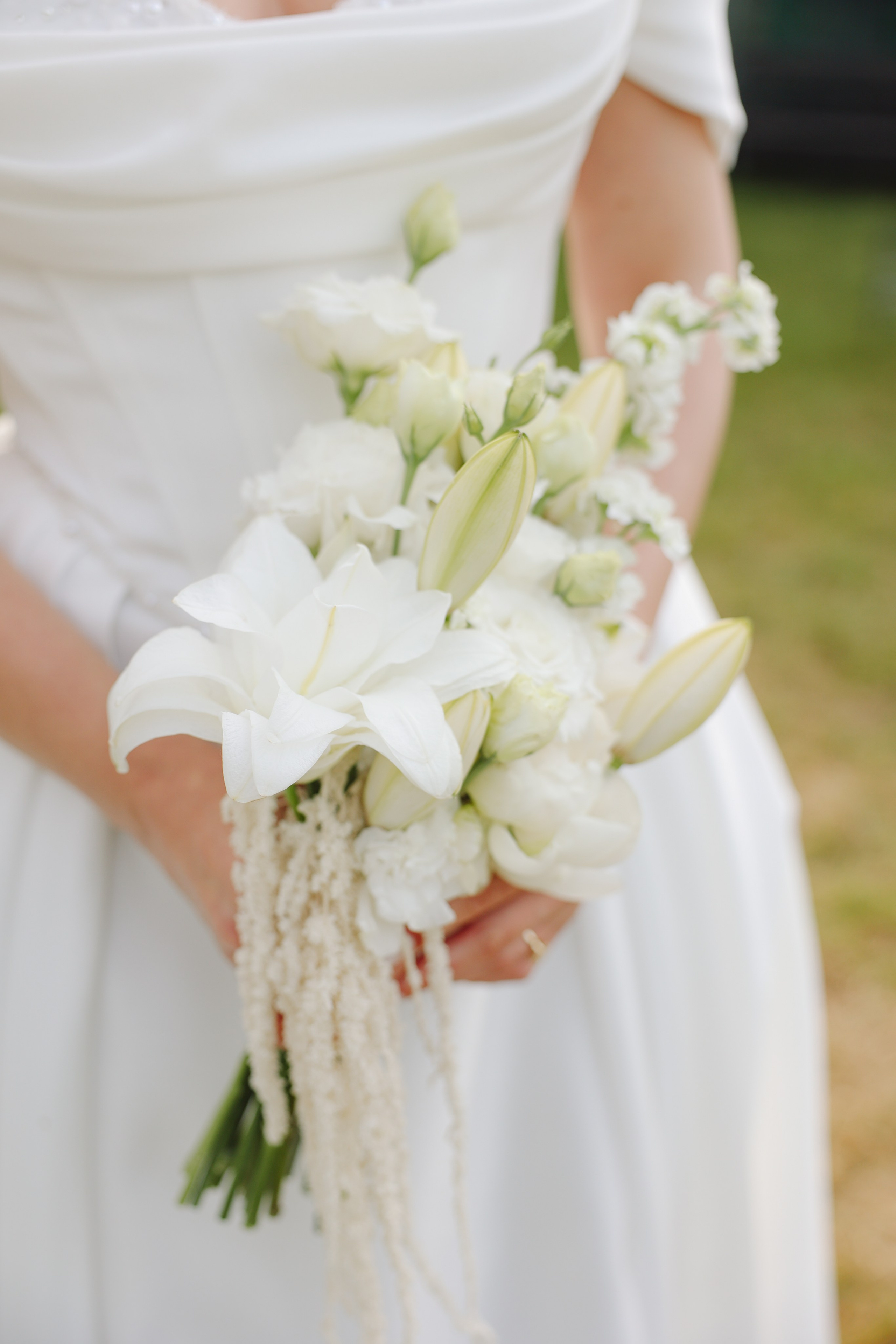 Botanika. Главная