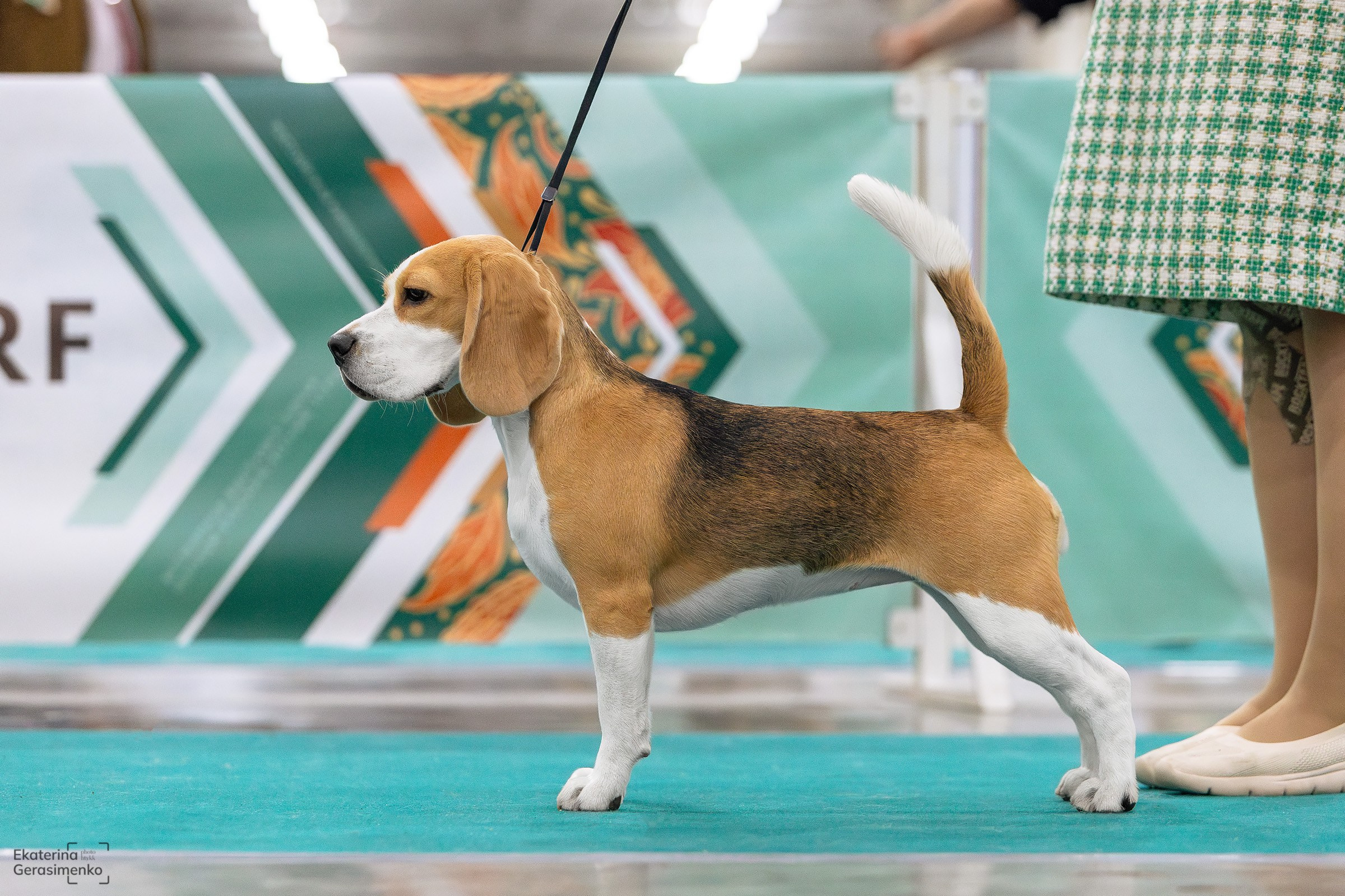 16–17 ноября 2024, Выставка ЕВРАЗИЯ, г. Москва. Htykk_photo