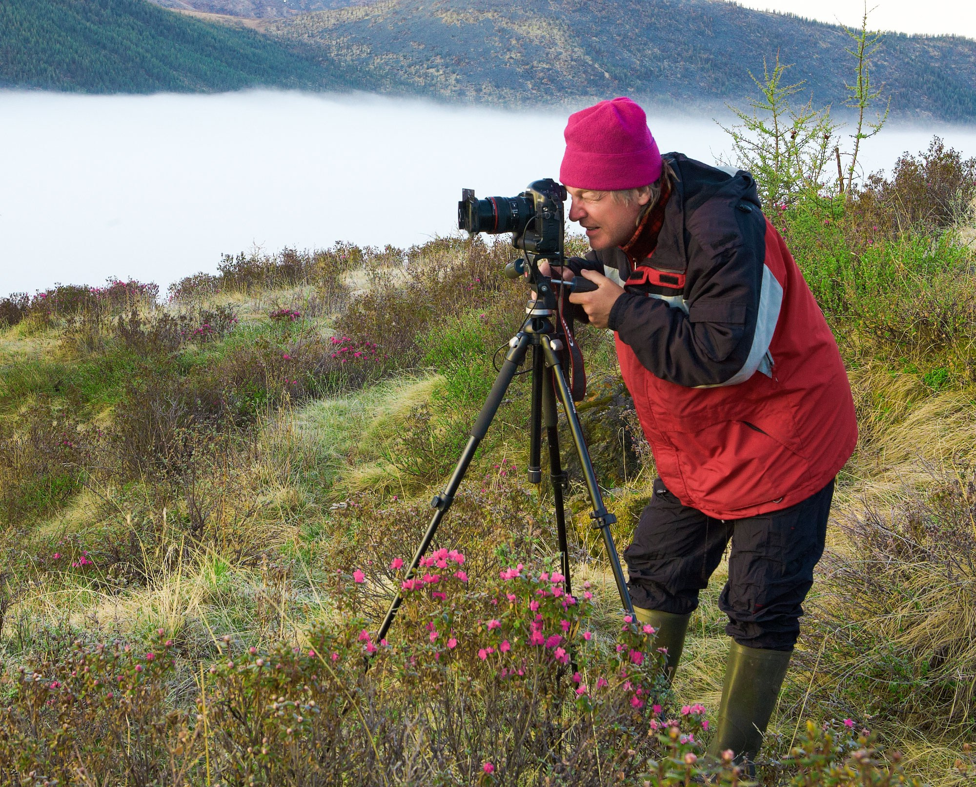 Свадебный фотограф в Геленджике