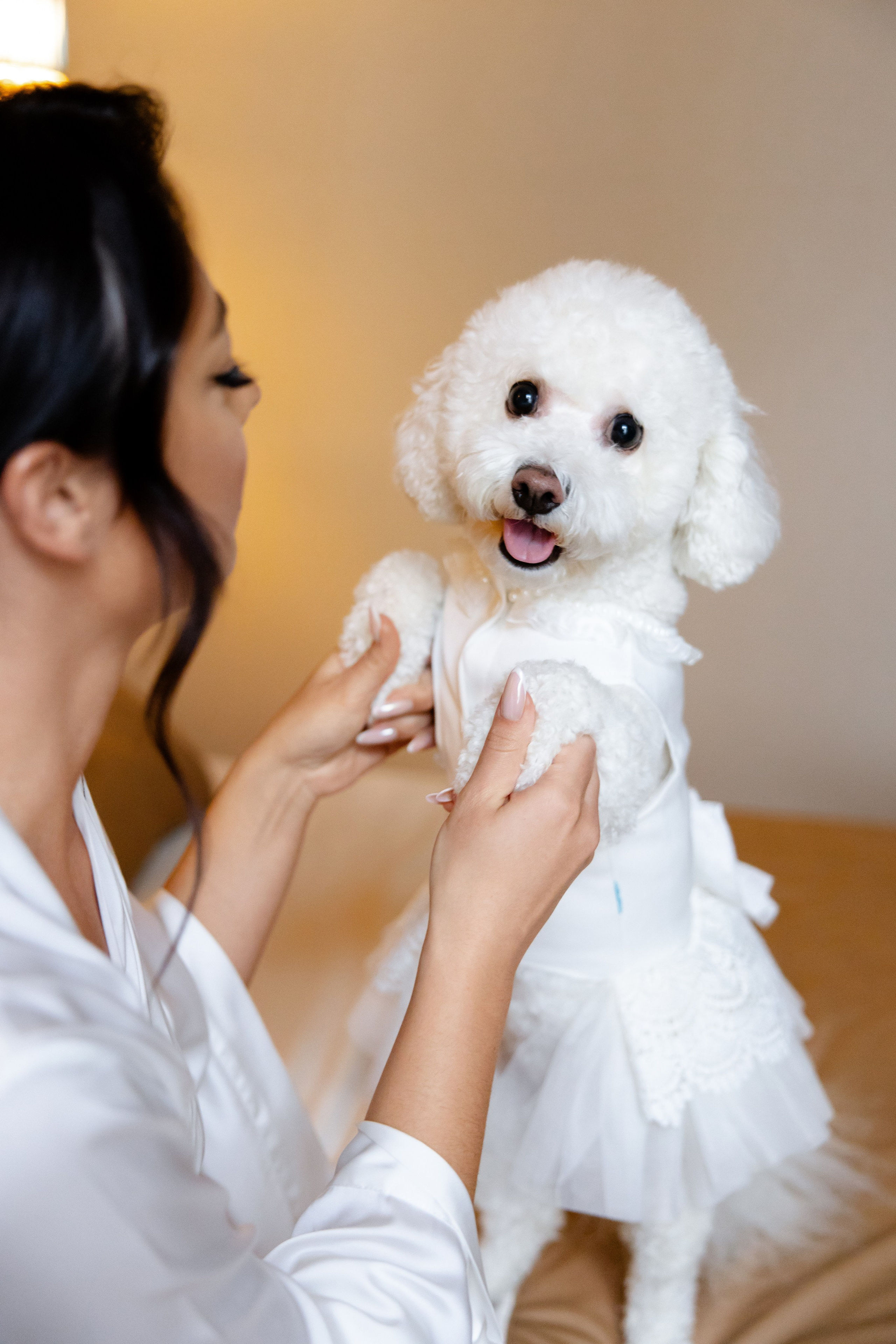 Влад и Марина. Свадебный фотограф Анна Бабахина