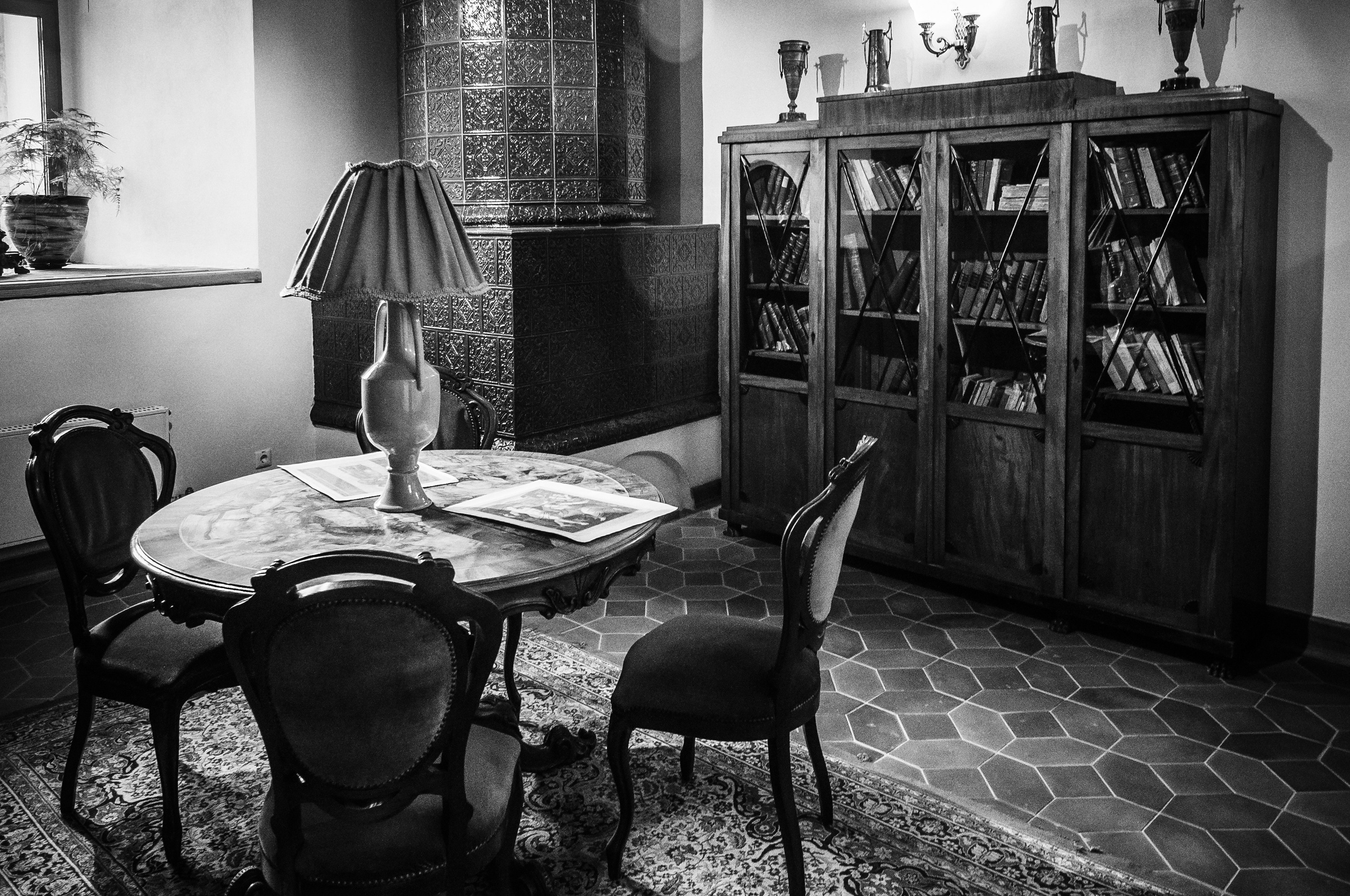 Мирский замок 2013. Фотограф Антон Швец — Монохромная реальность