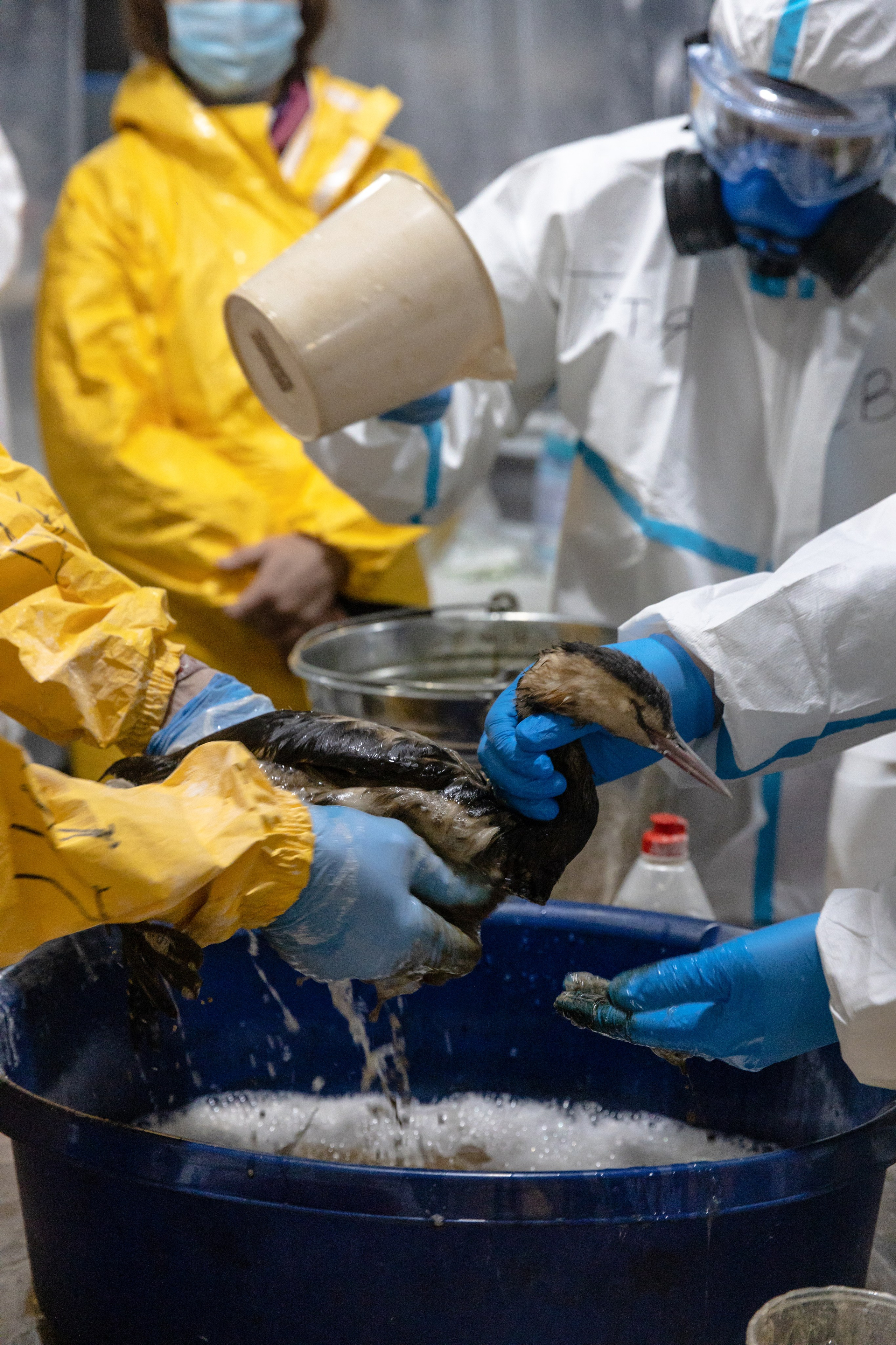 Anapa. Фотограф Маша Новодережкина