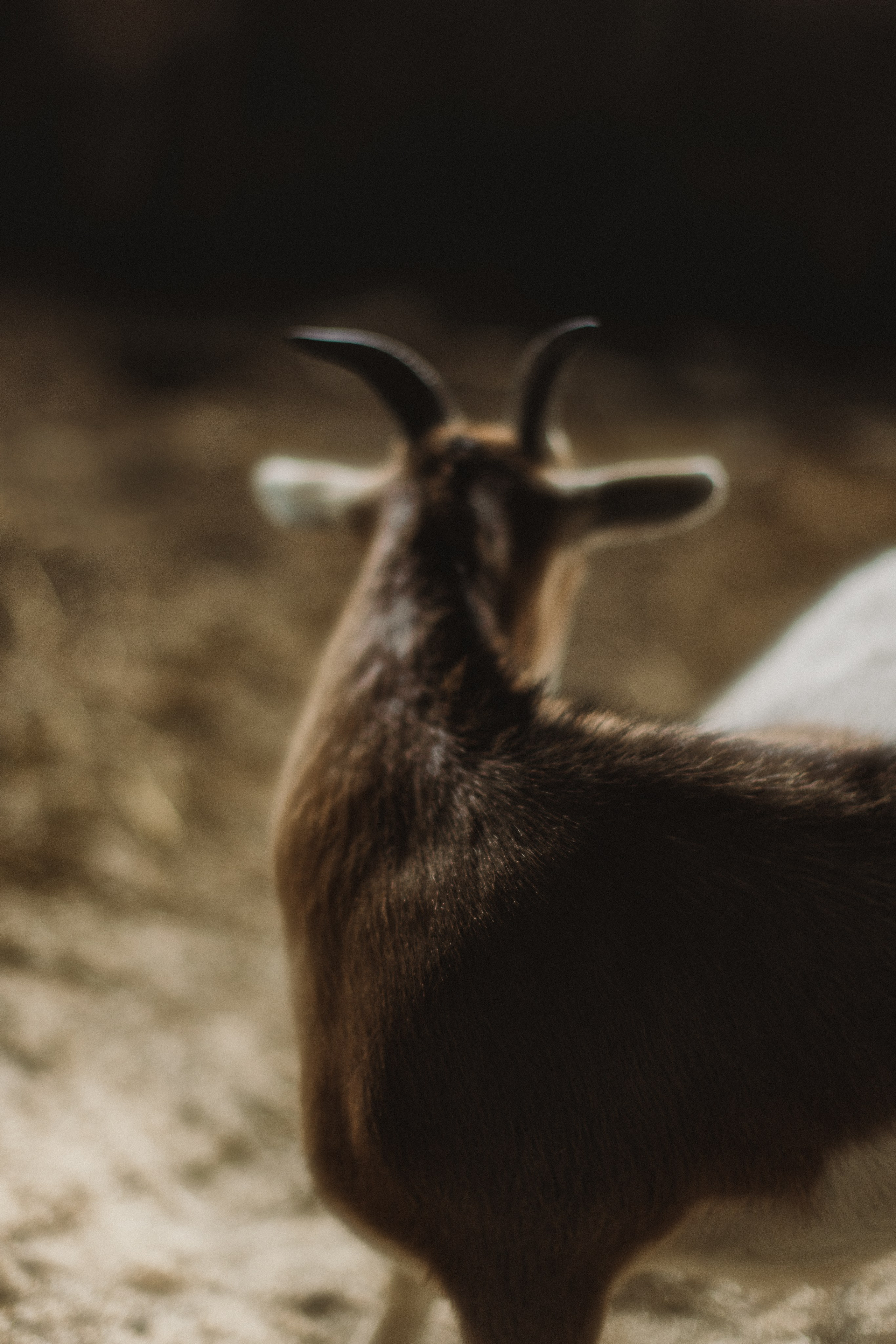 Золушка. Портретный фотограф Уфа Москва Санкт-Петербург Lulu Weightless