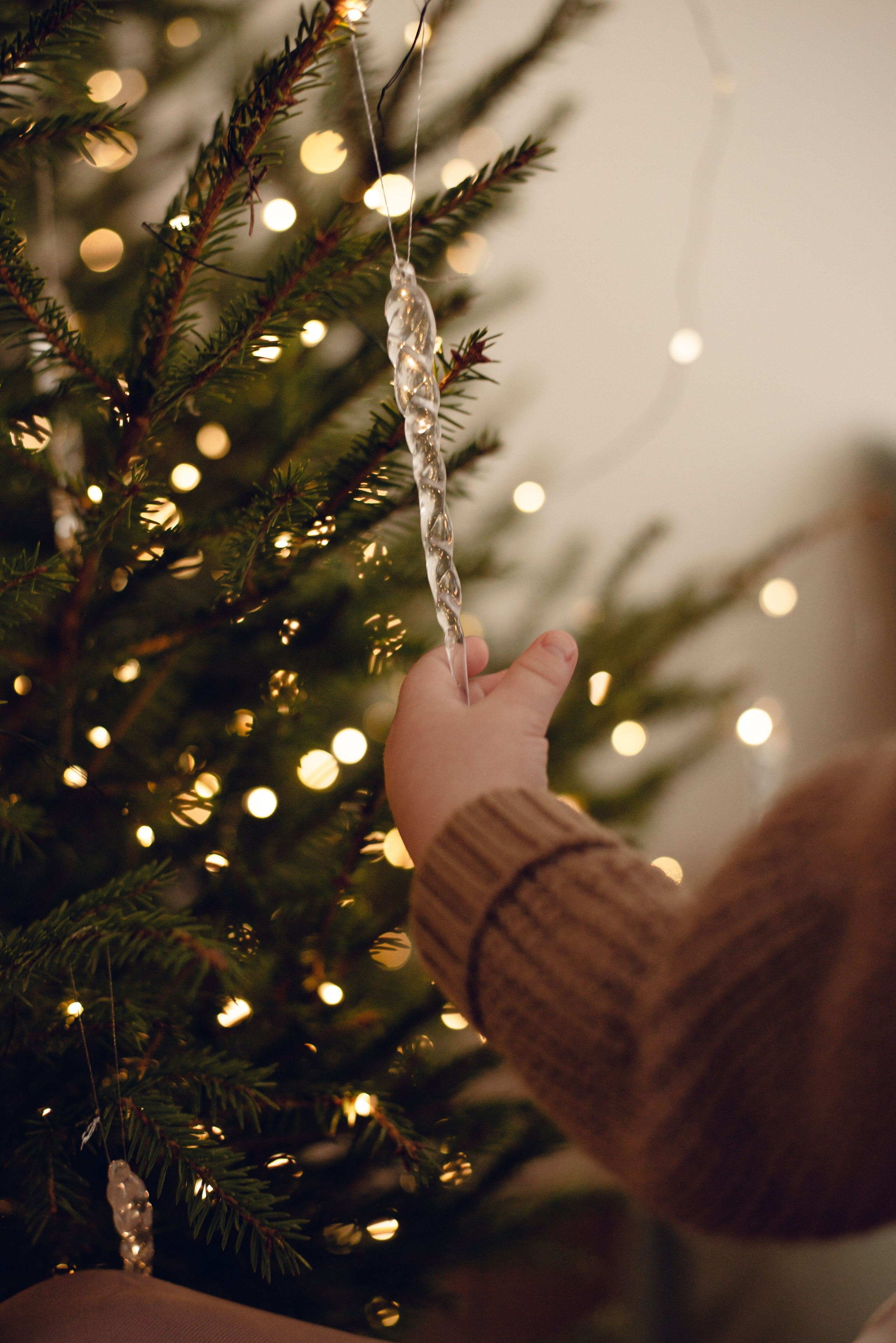 Собакинских, Птичка. Семейный и детский фотограф Иваново Ксения Азаренкова