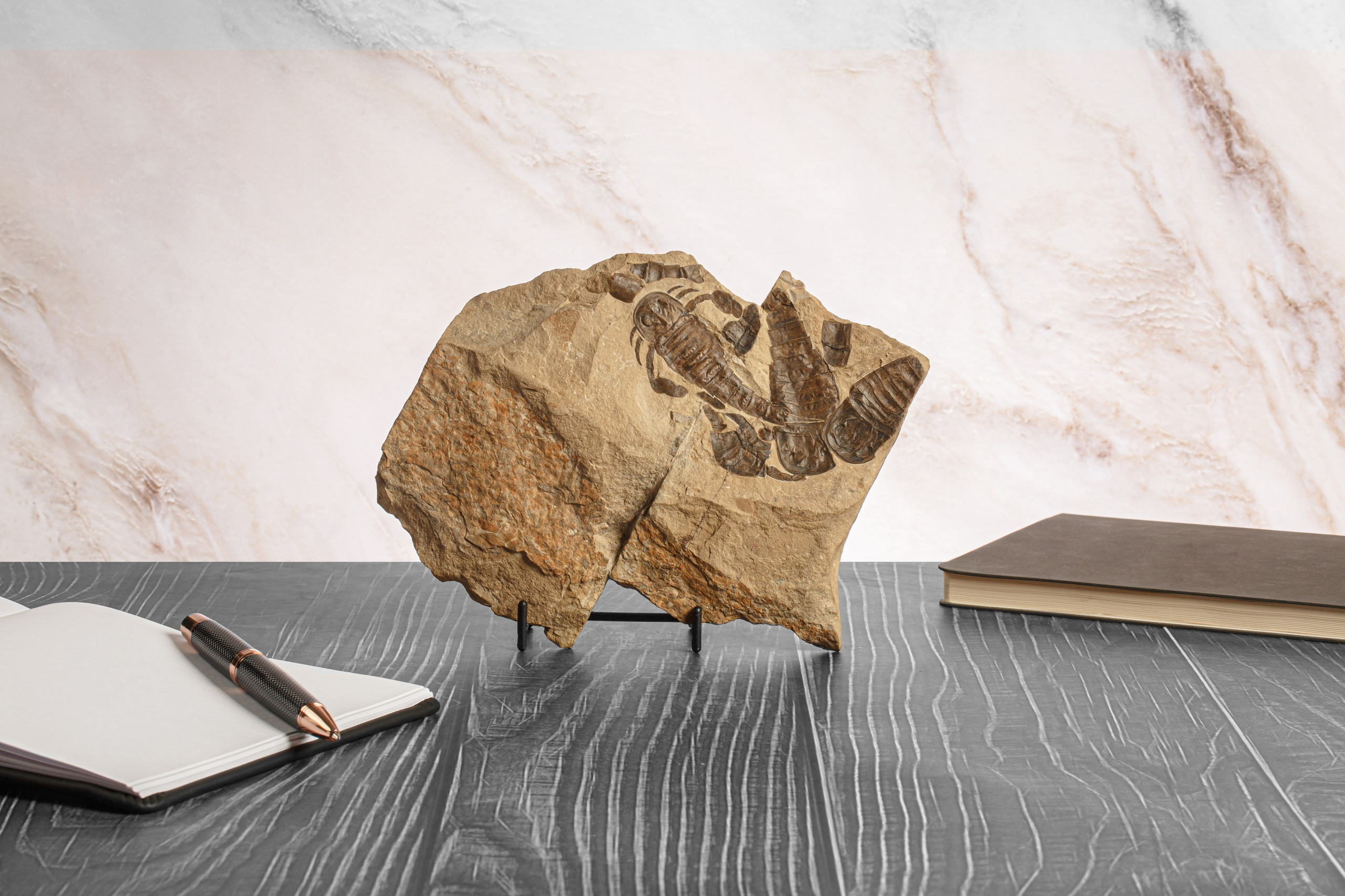 Профессиональная обработка натуральных камней, минералов и ископаемых | Студия SVITHART