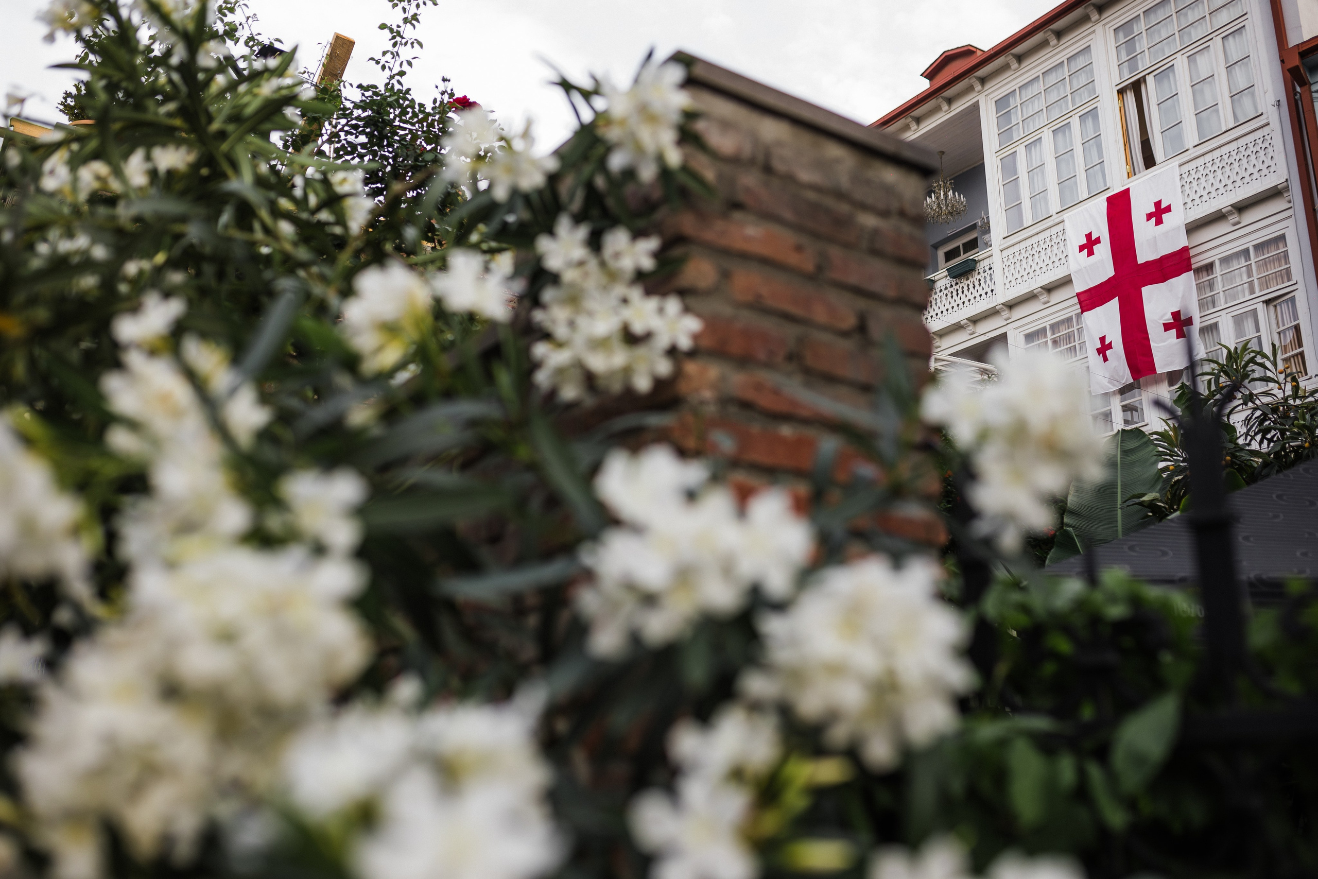 Georgia. Свадебный и семейный фотограф в Краснодаре Роман Моско