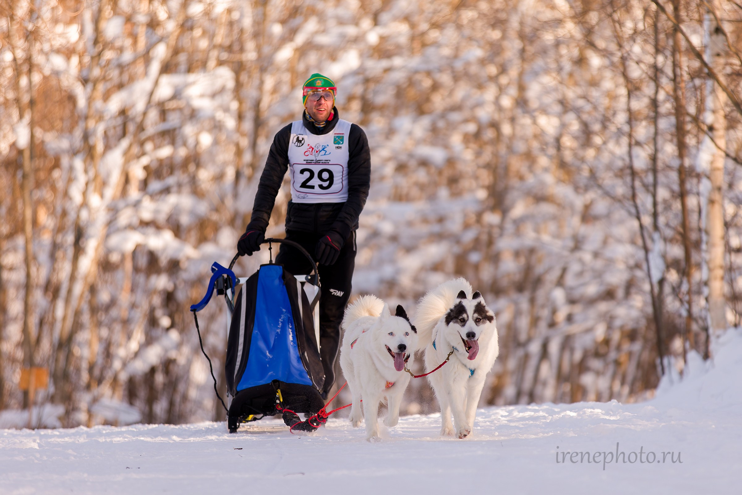 Чемпионат и Первенство Ленобласти — зима 2026. Irenephoto.ru