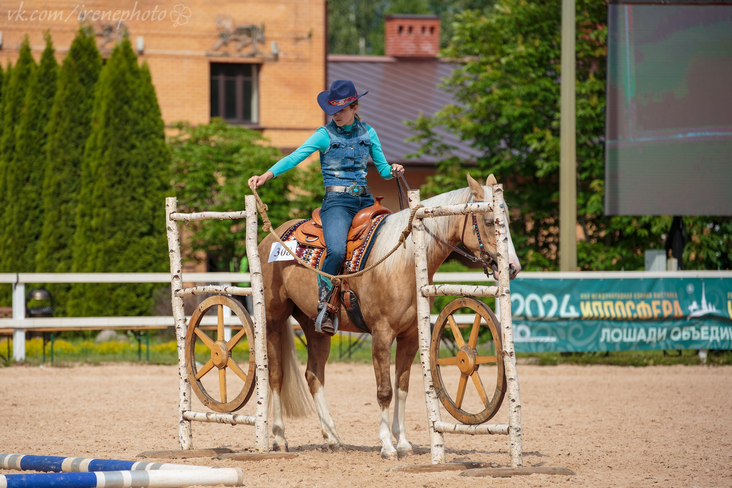 Иппосфера 2024. Irenephoto.ru