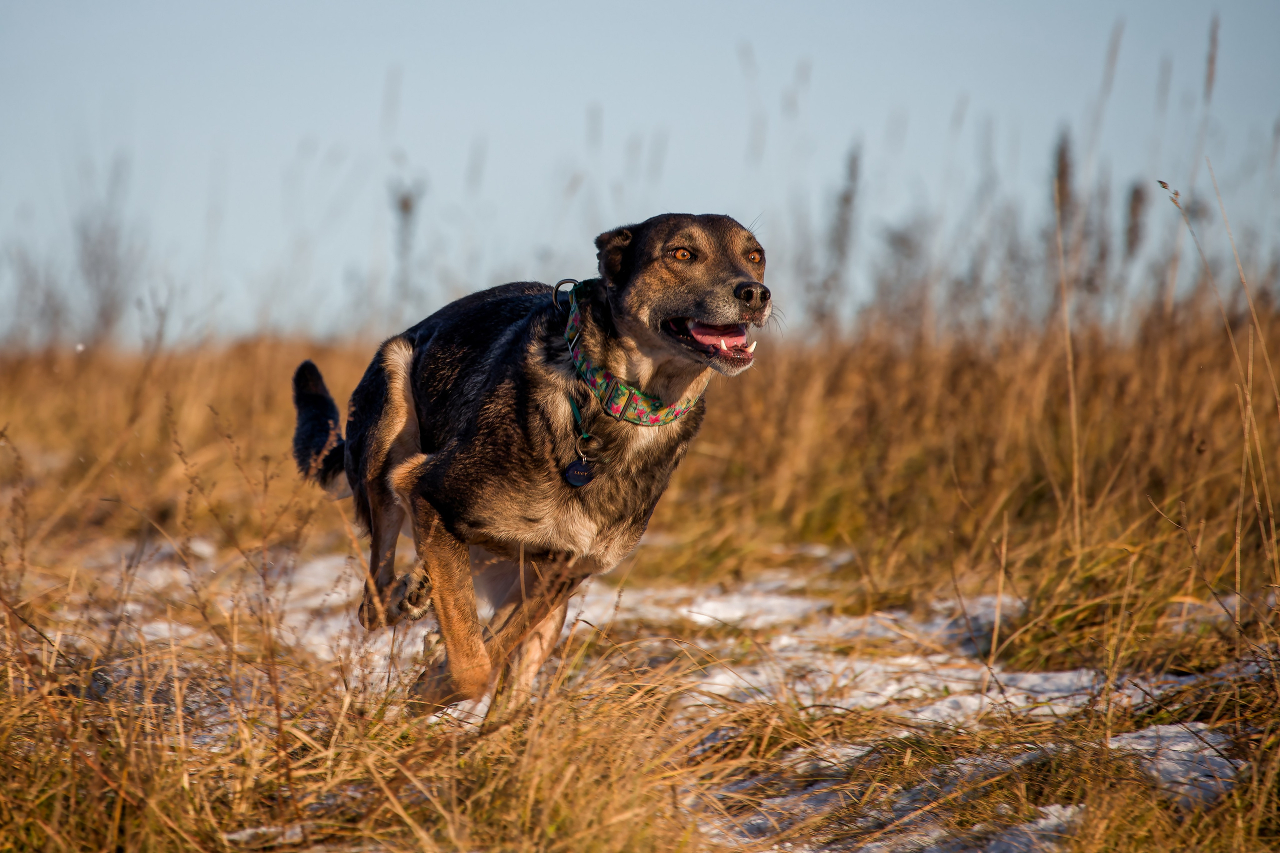 Lure Club 2025. Irenephoto.ru