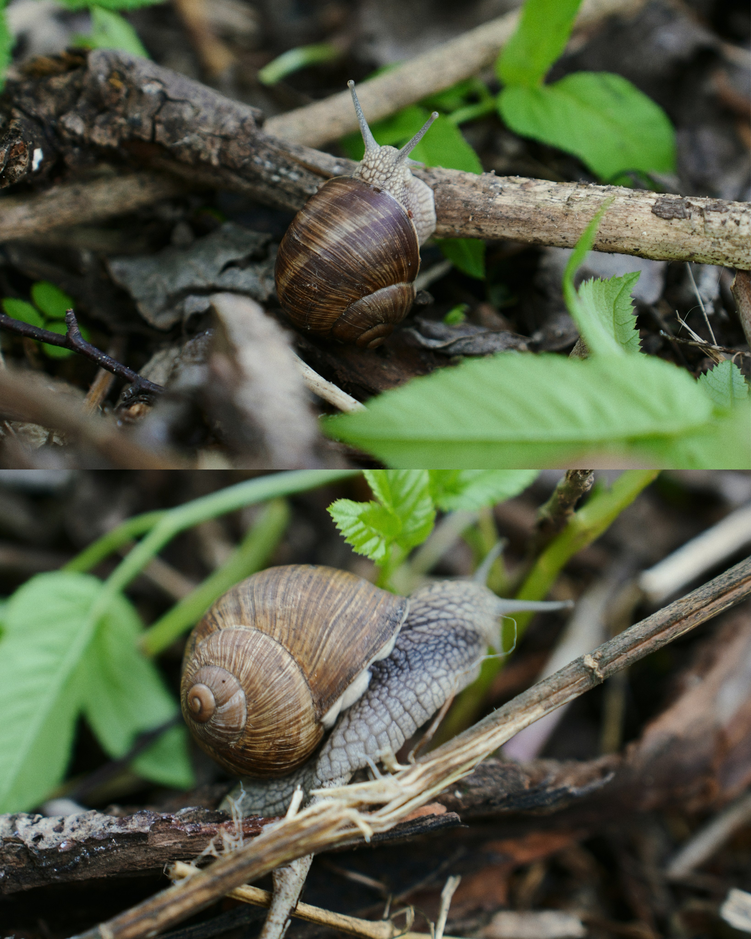 PODMOKLOVO. ANNA — PHOTOGRAPHER