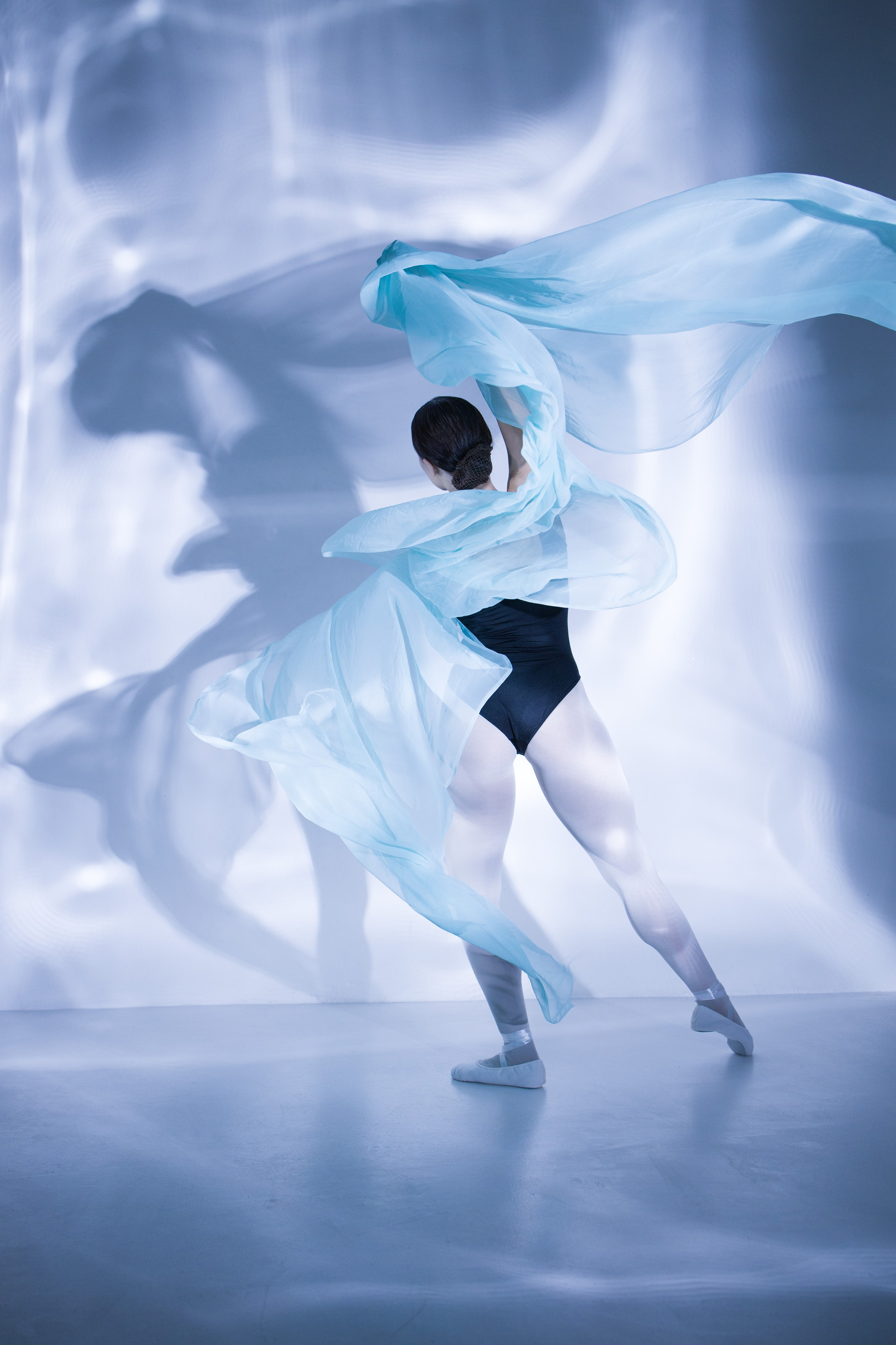 Лилия. Художественная фотография