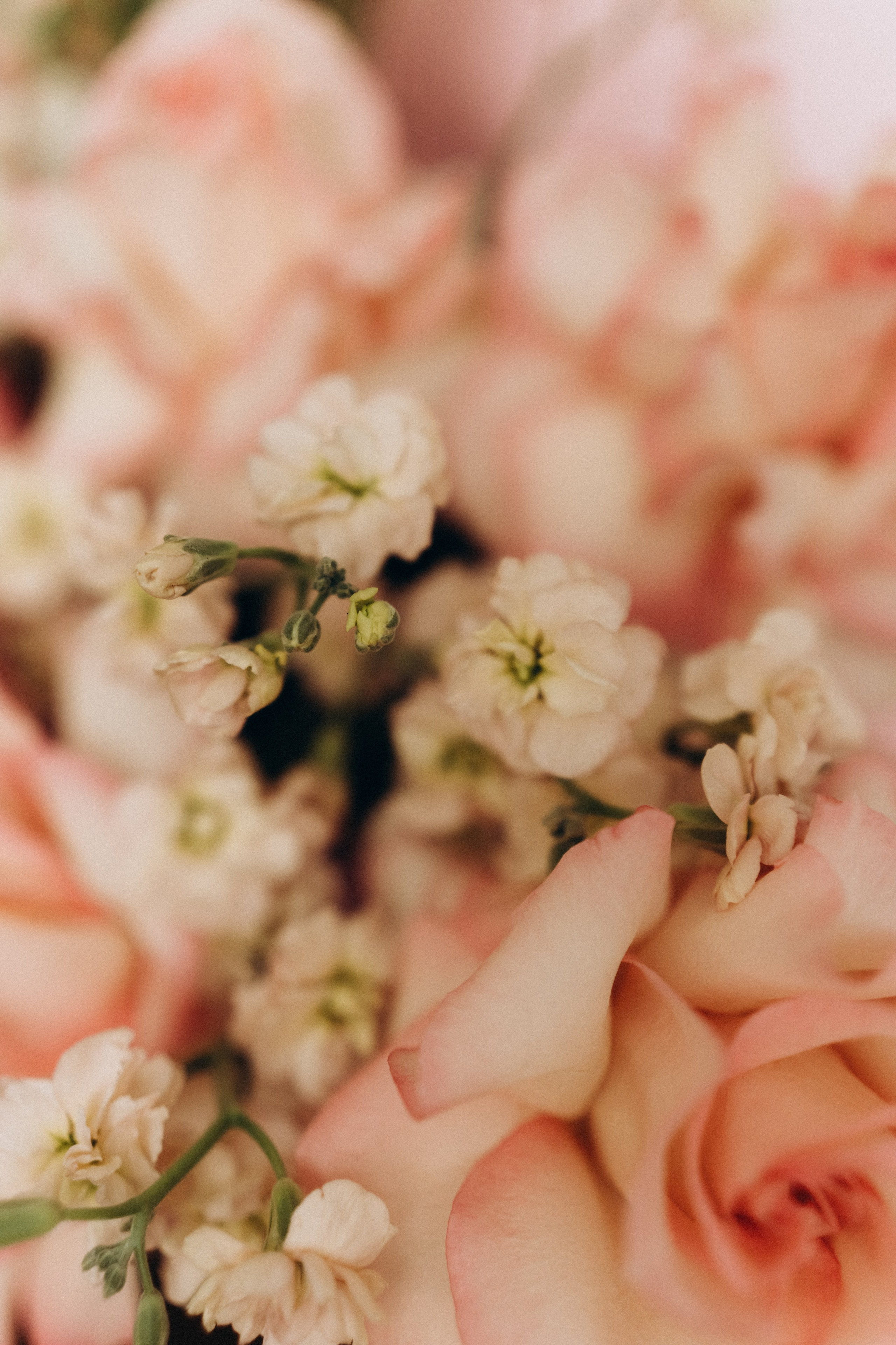 Самал тусау кесу. Крис Богомазова