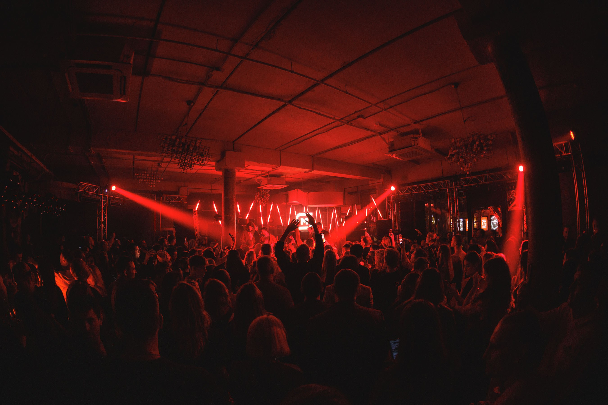 Parties photography. Bivol images