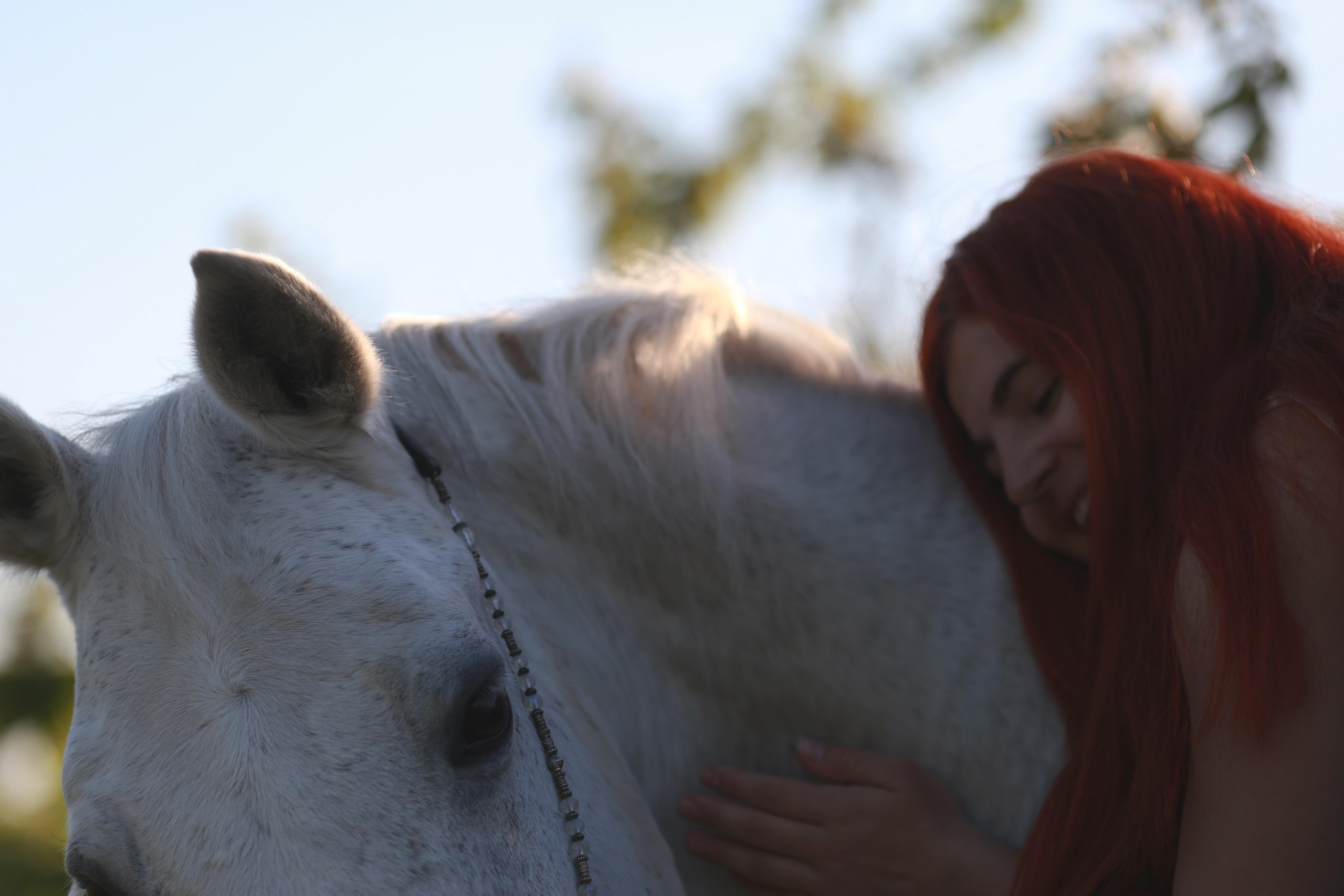 Анастасия и Калгари. Фотограф Юлия Гросс
