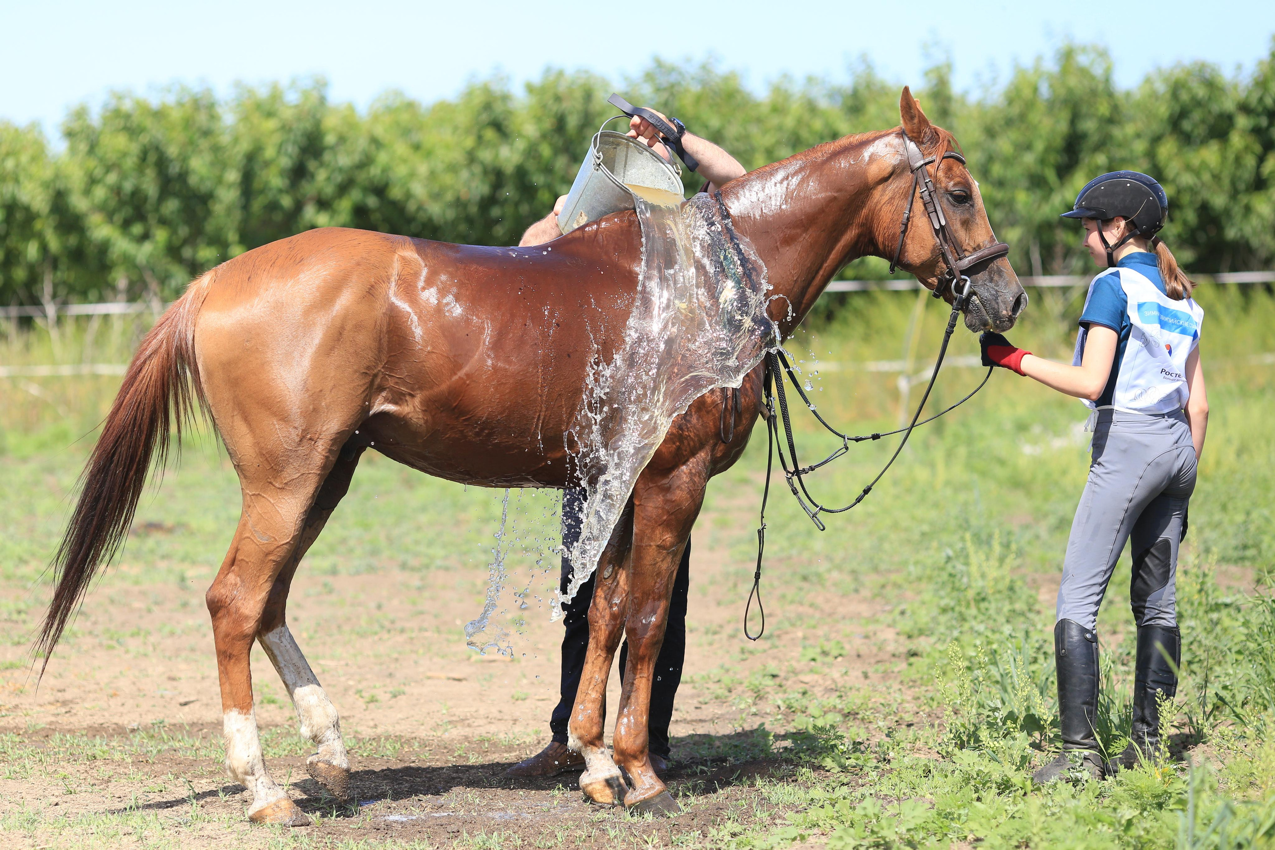 Конноспортивные соревнования. Фотограф Юлия Гросс