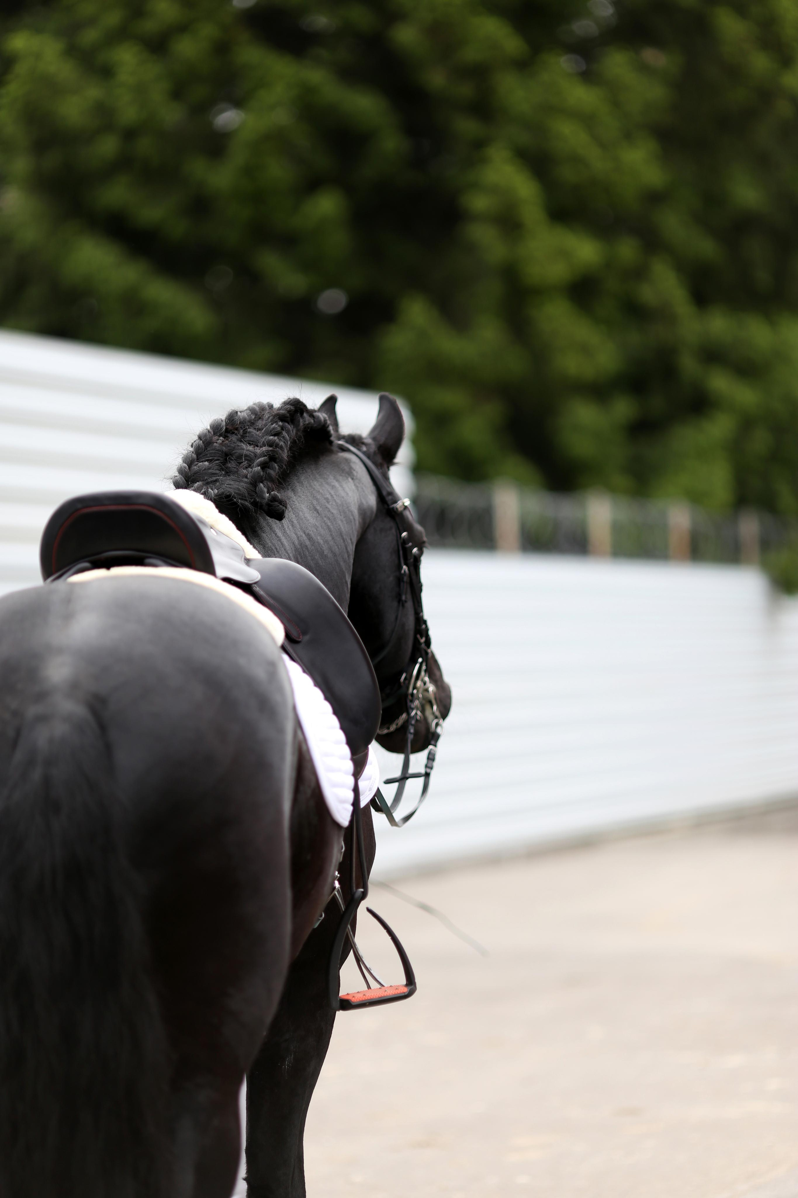 Конноспортивные соревнования. Фотограф Юлия Гросс