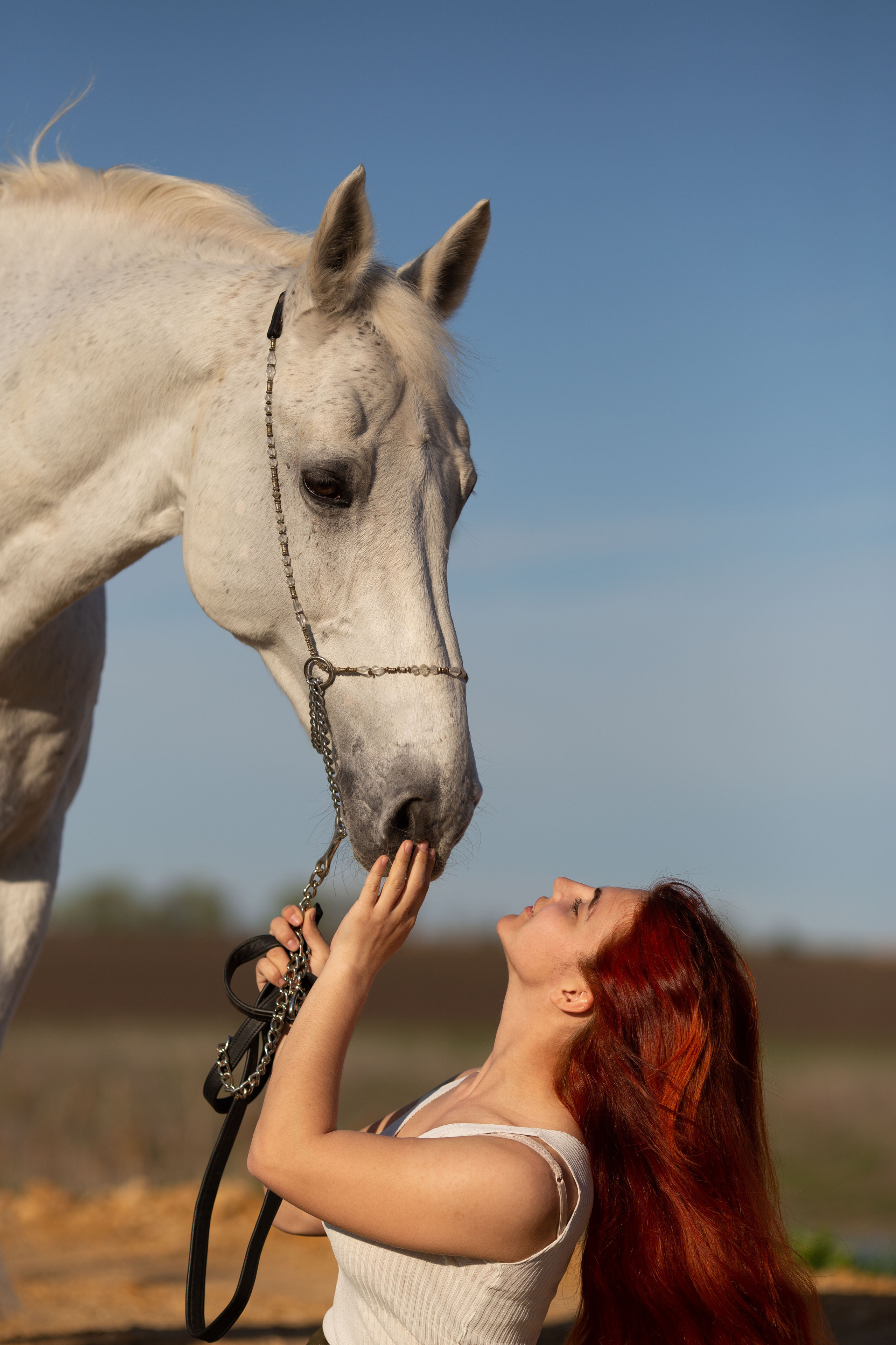 Анастасия и Калгари. Фотограф Юлия Гросс