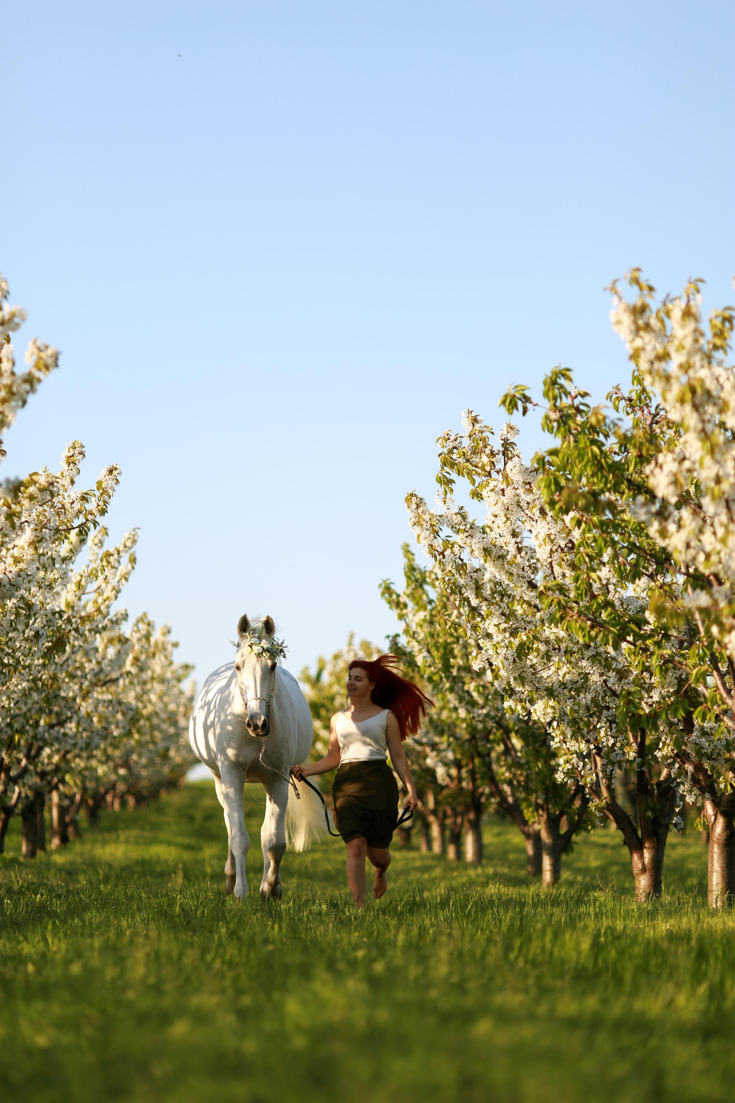 Анастасия и Калгари. Фотограф Юлия Гросс