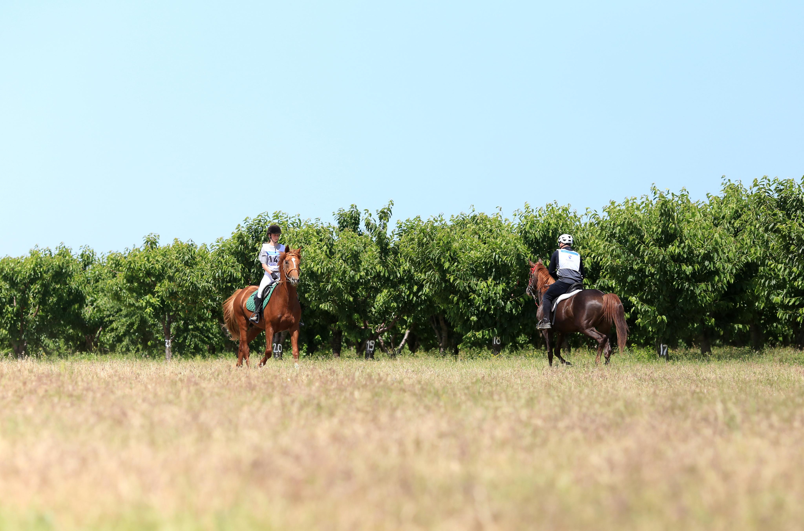 Конноспортивные соревнования. Фотограф Юлия Гросс