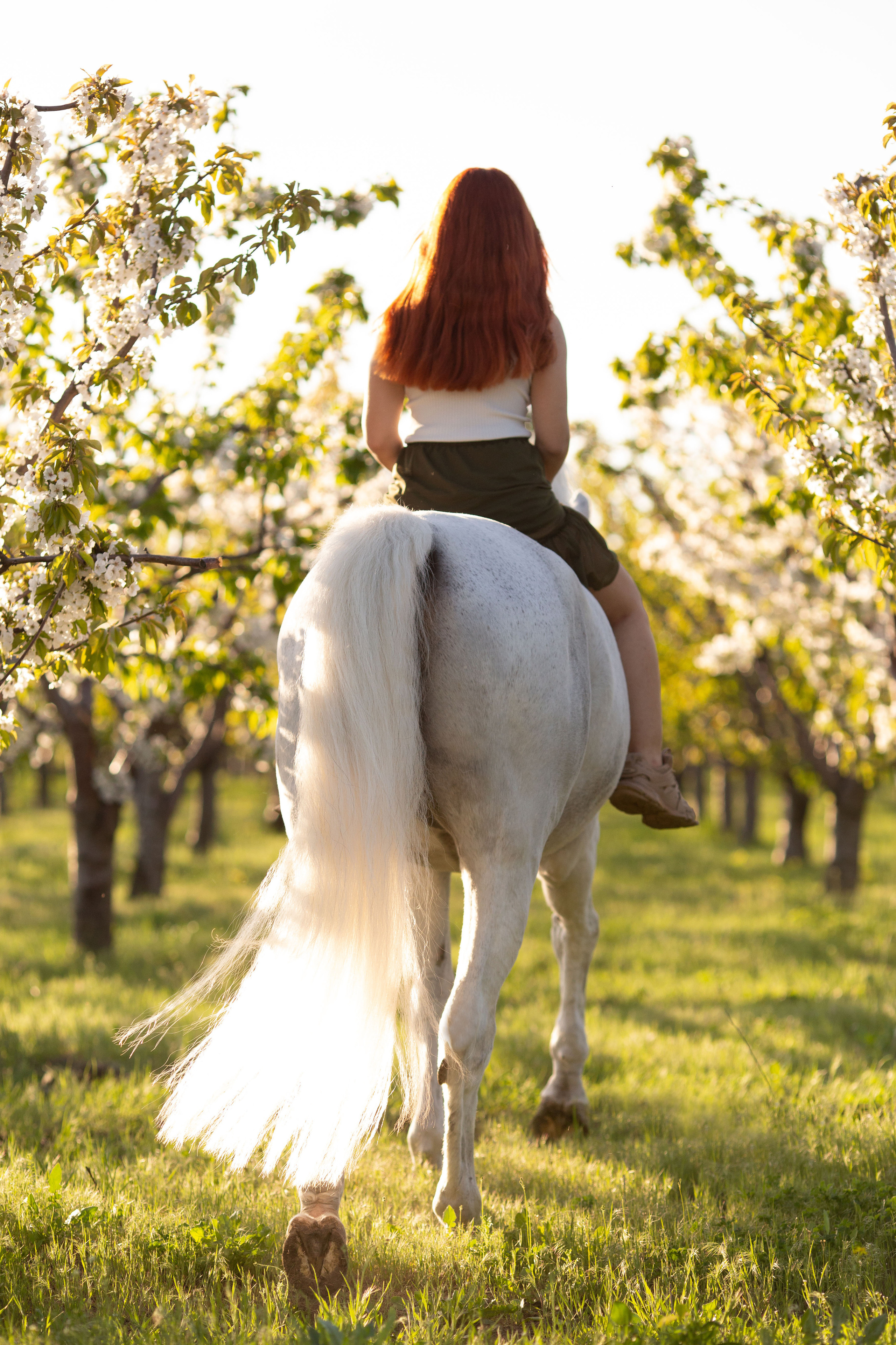 Анастасия и Калгари. Фотограф Юлия Гросс