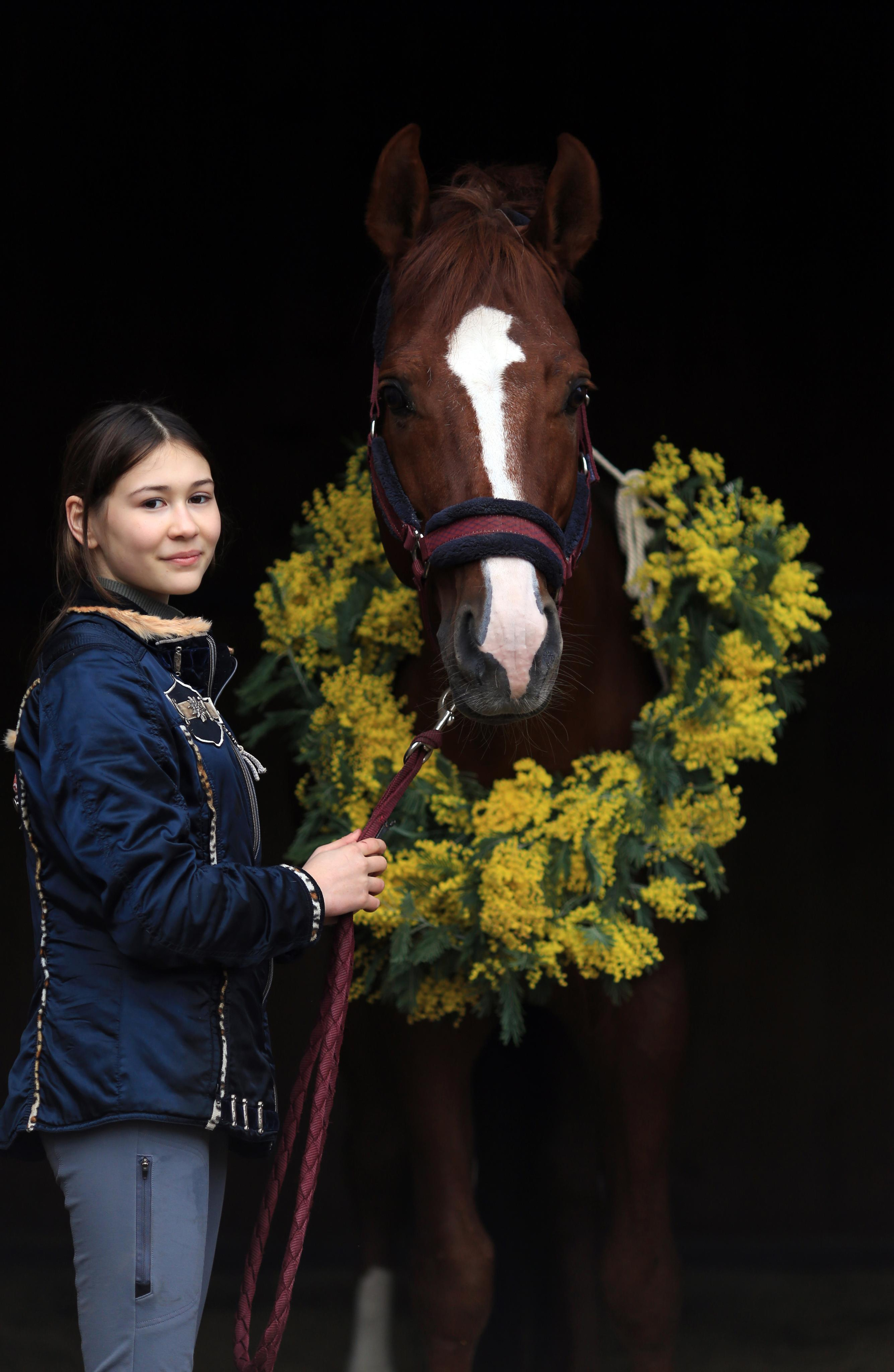 Мимоза. Фотограф Юлия Гросс