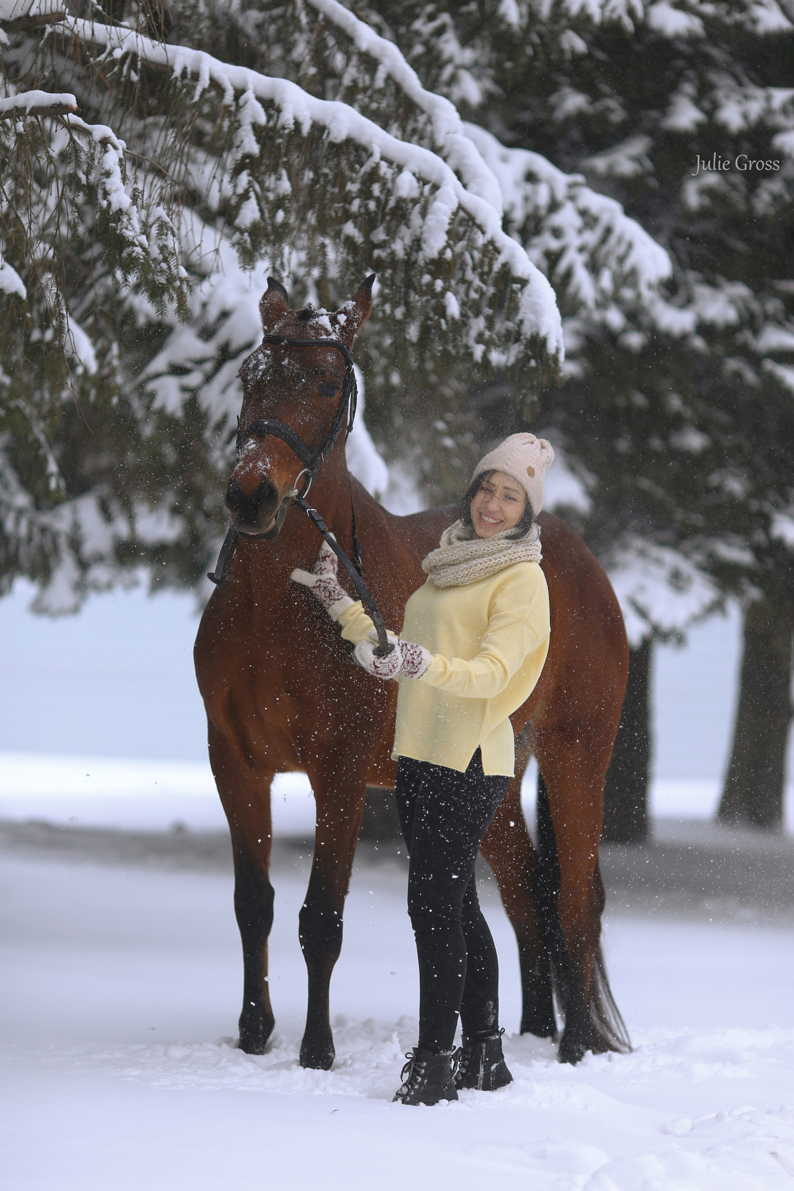 Новогоднее. Фотограф Юлия Гросс