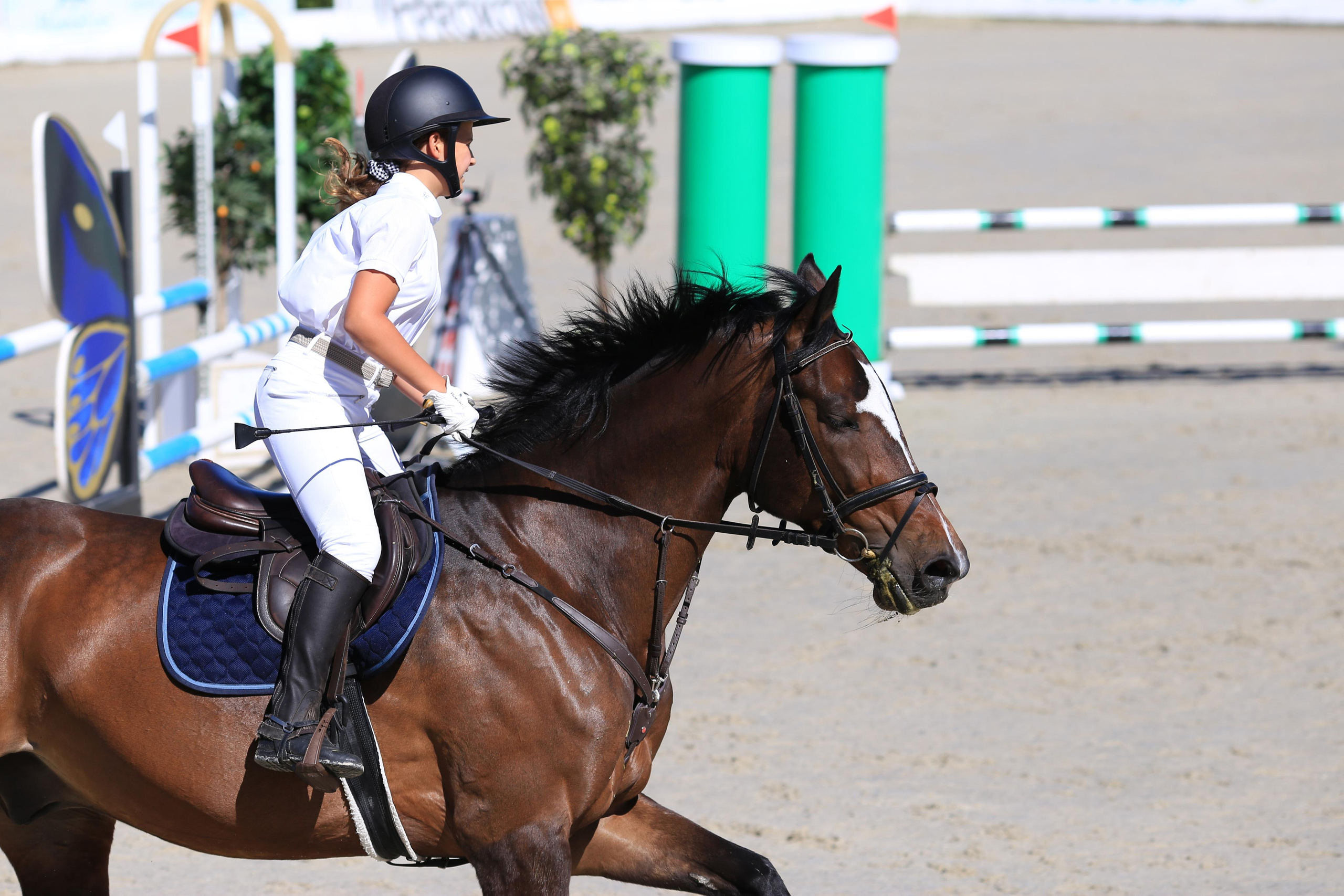 Конноспортивные соревнования. Фотограф Юлия Гросс
