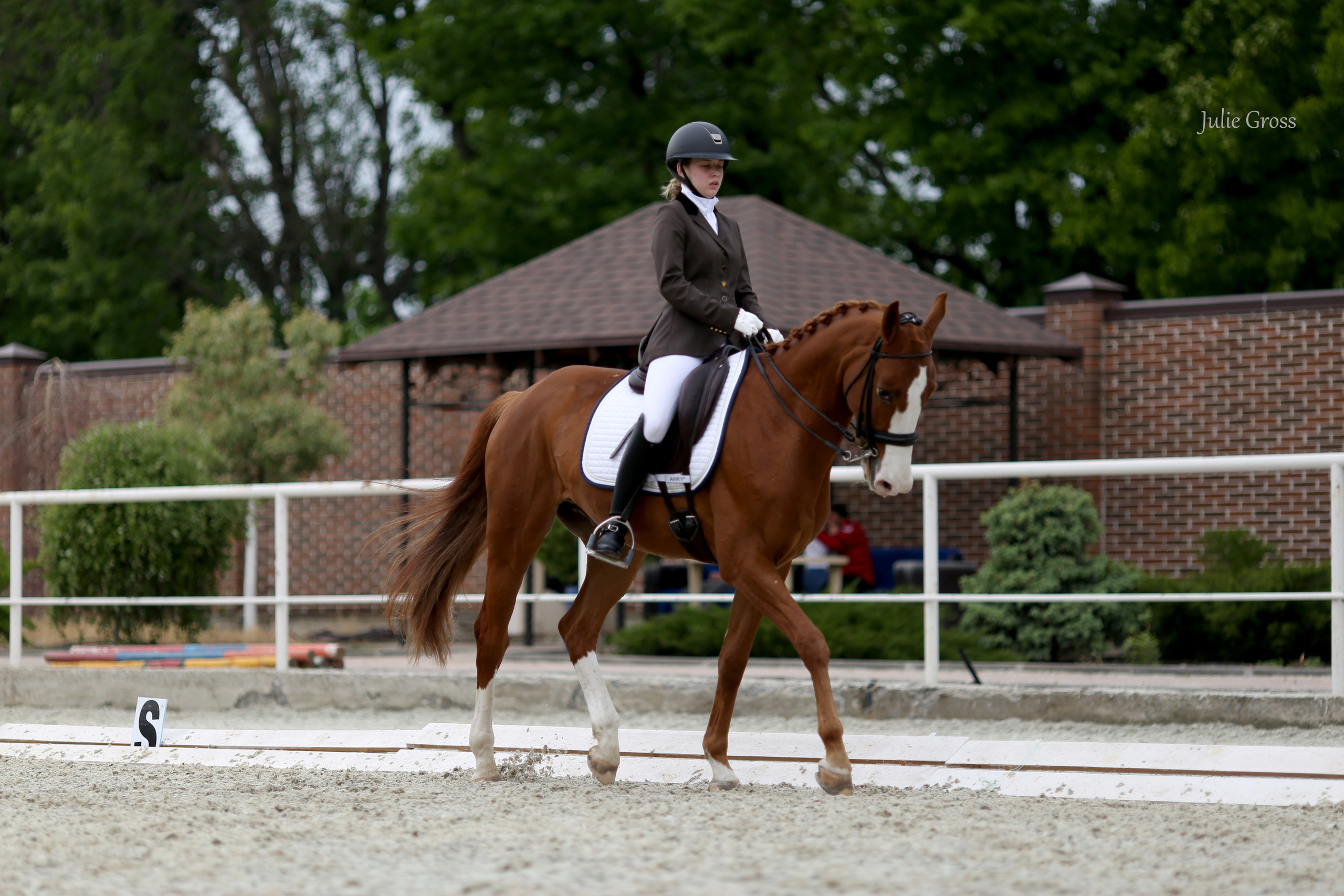 Конноспортивные соревнования. Фотограф Юлия Гросс
