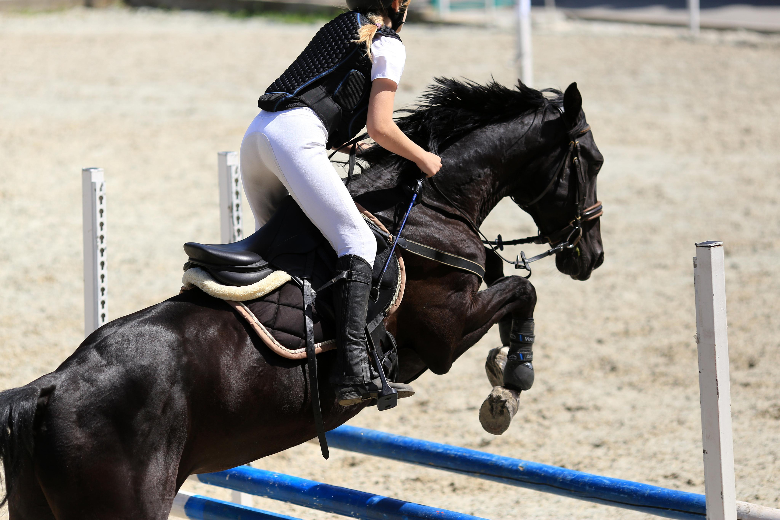 Конноспортивные соревнования. Фотограф Юлия Гросс