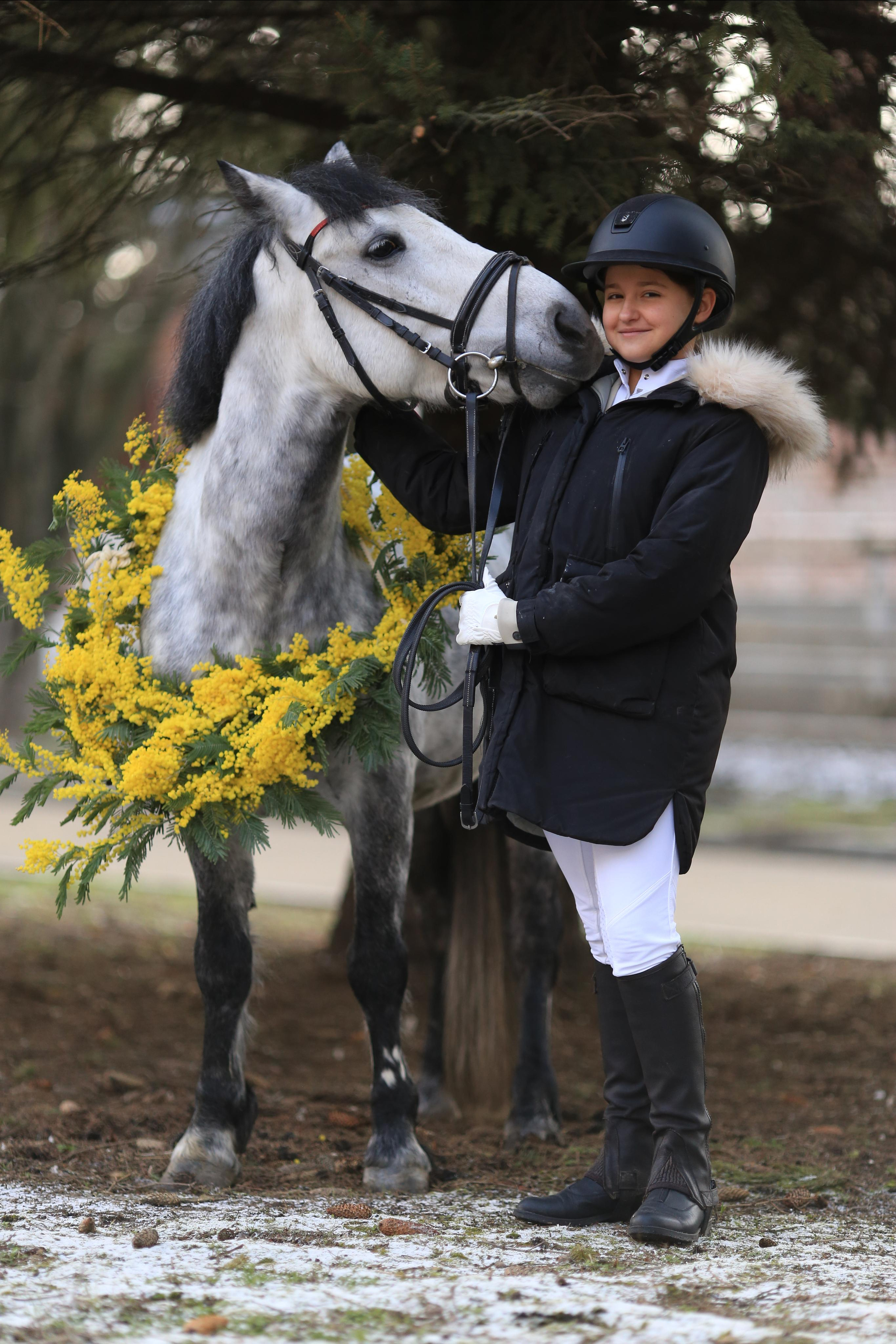 Мимоза. Фотограф Юлия Гросс