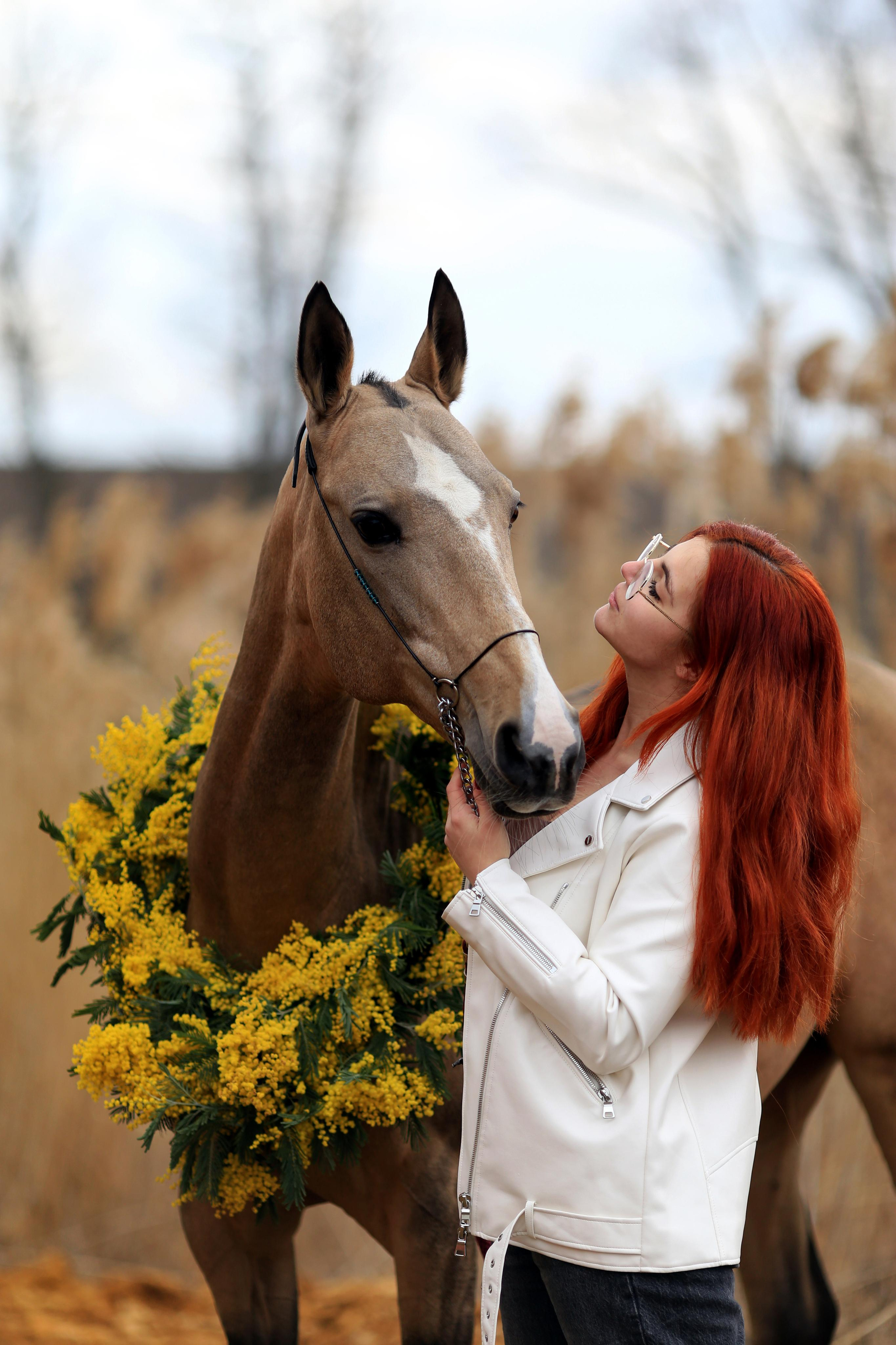 Мимоза. Фотограф Юлия Гросс