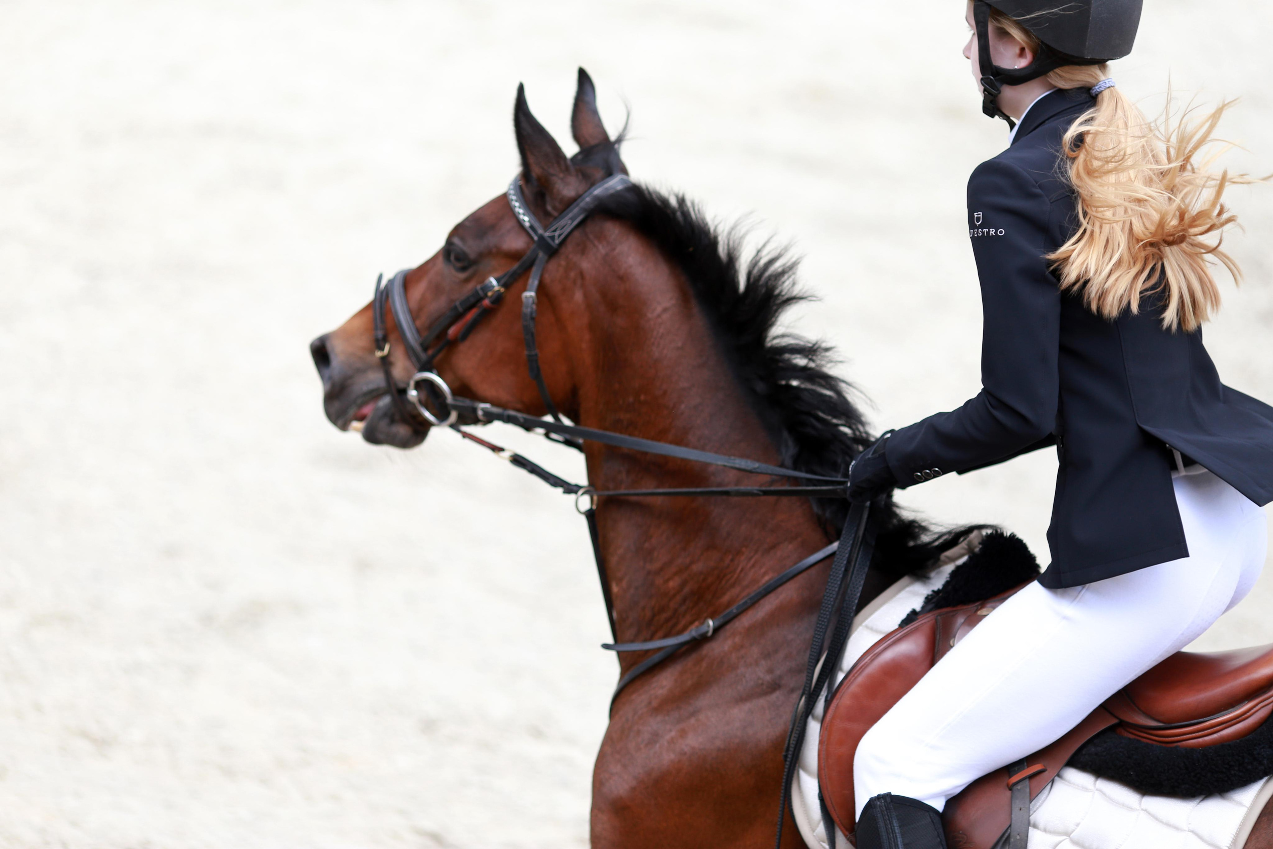 Конноспортивные соревнования. Фотограф Юлия Гросс