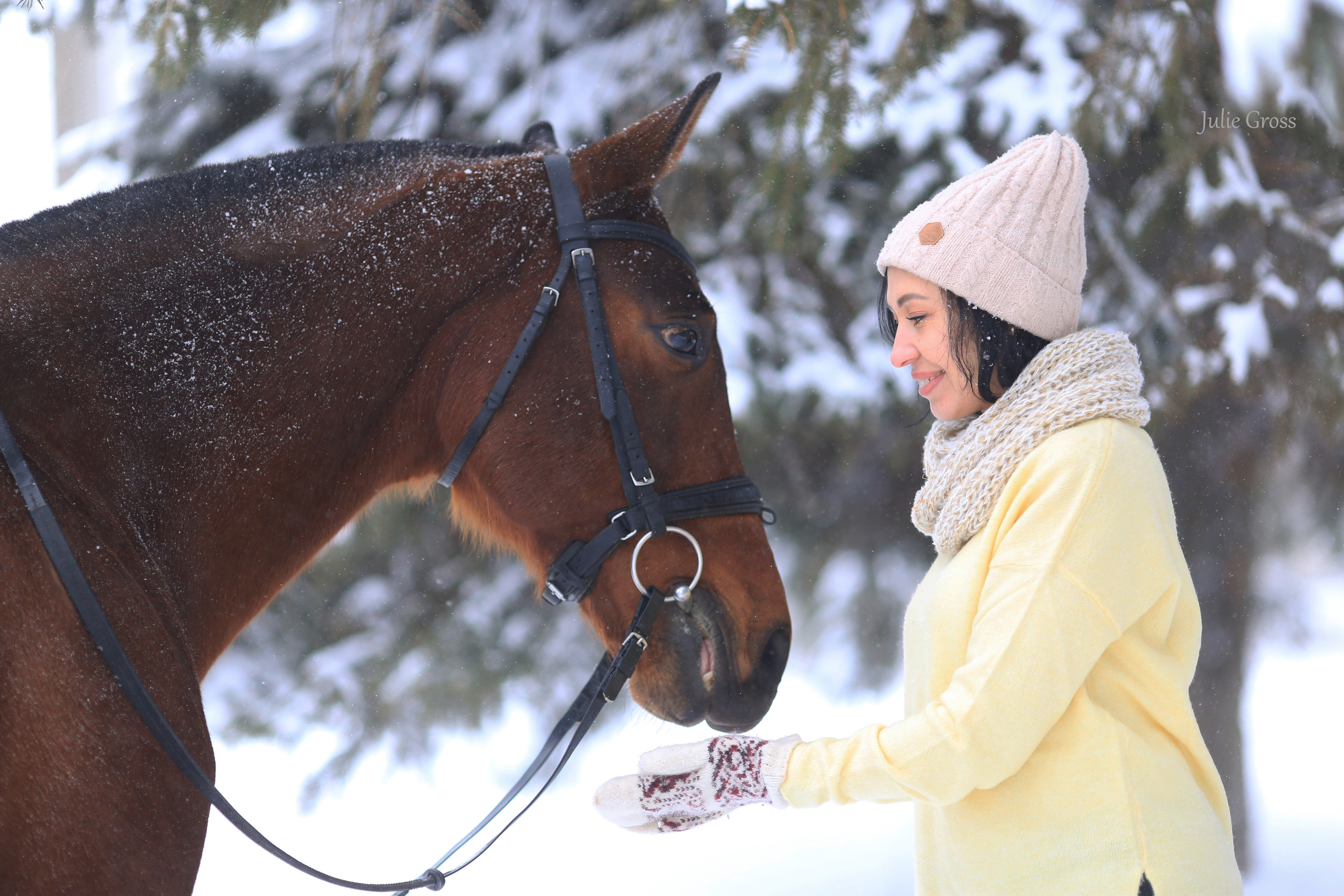 Новогоднее. Фотограф Юлия Гросс