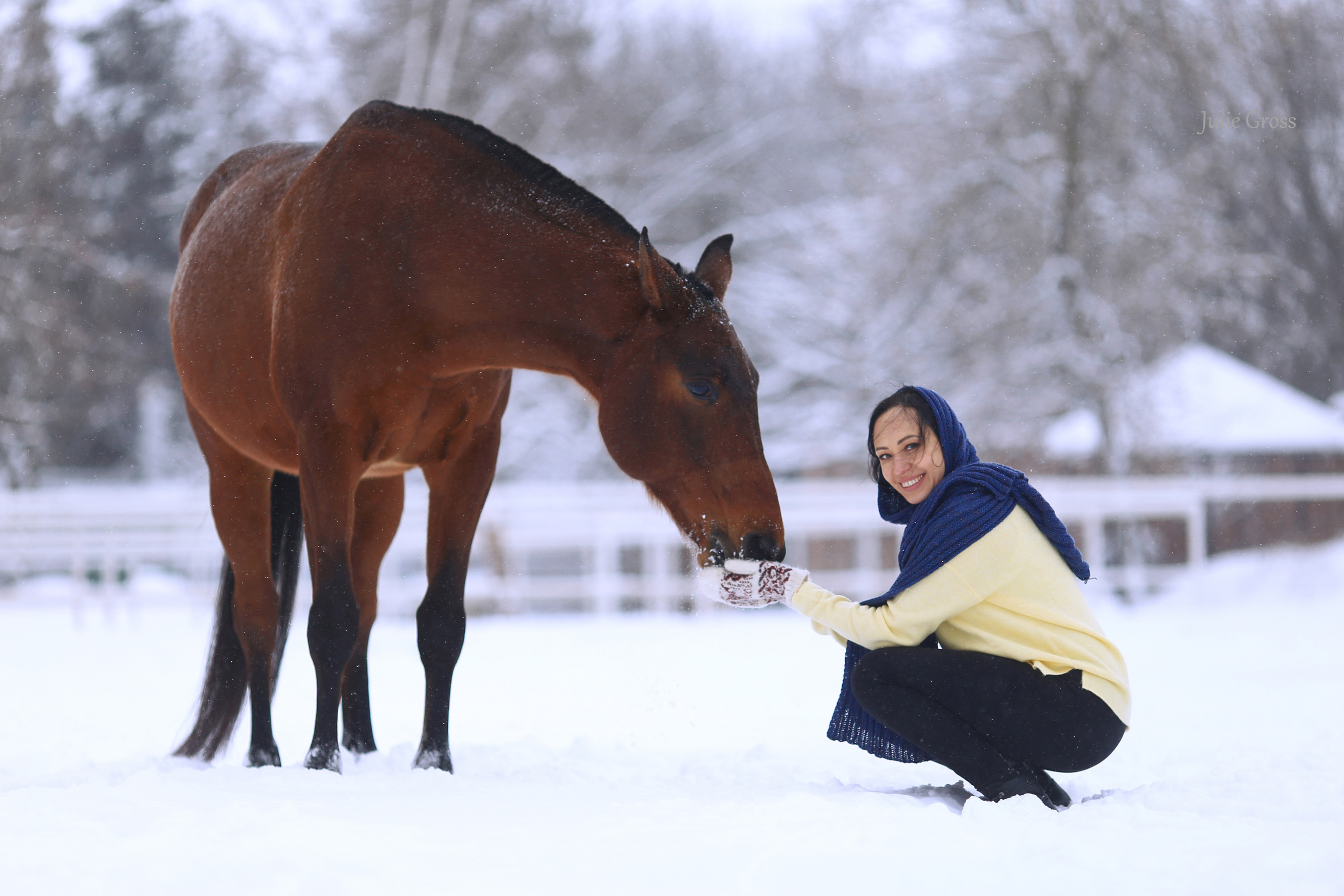 Новогоднее. Фотограф Юлия Гросс
