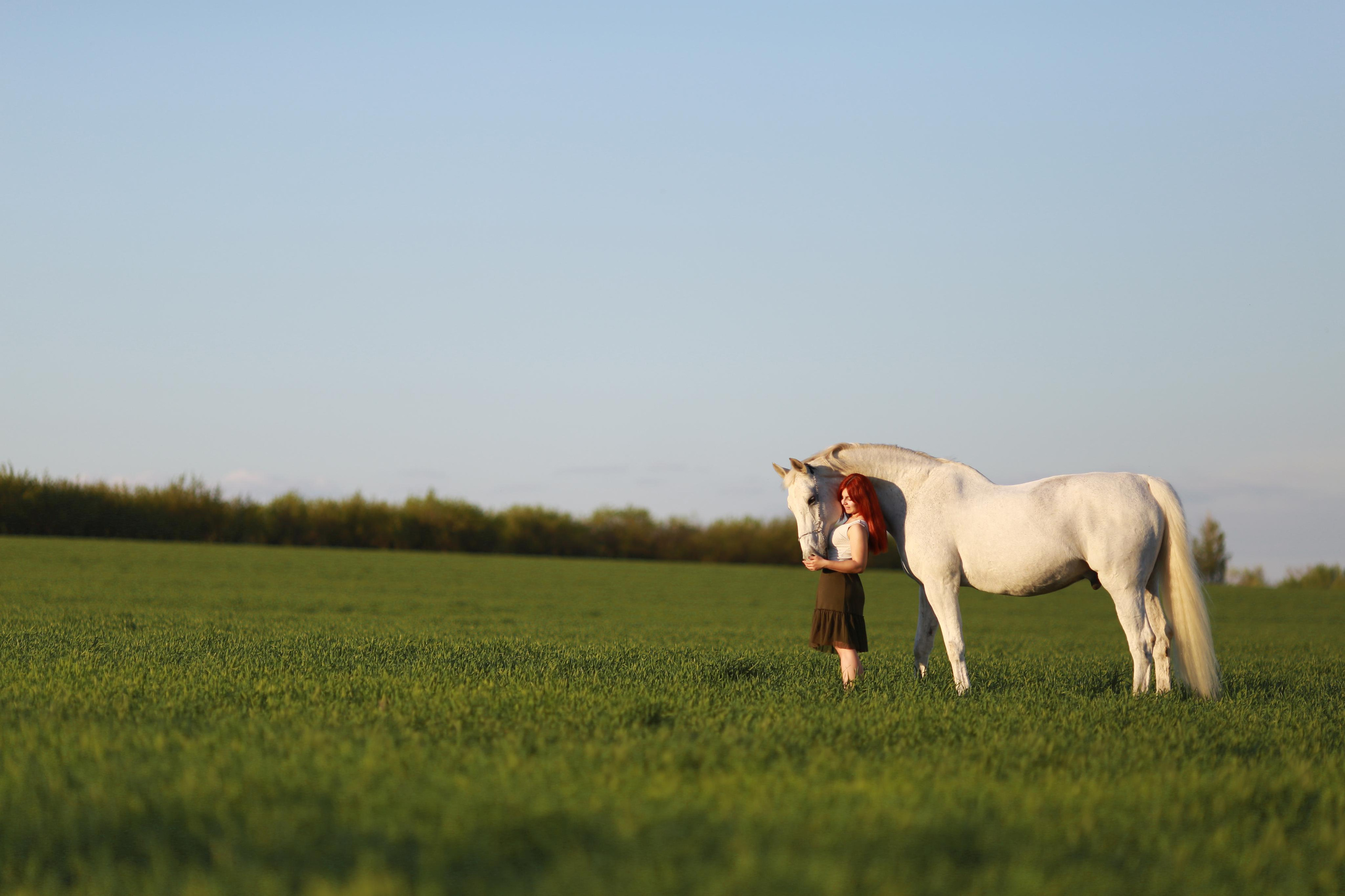 Анастасия и Калгари. Фотограф Юлия Гросс