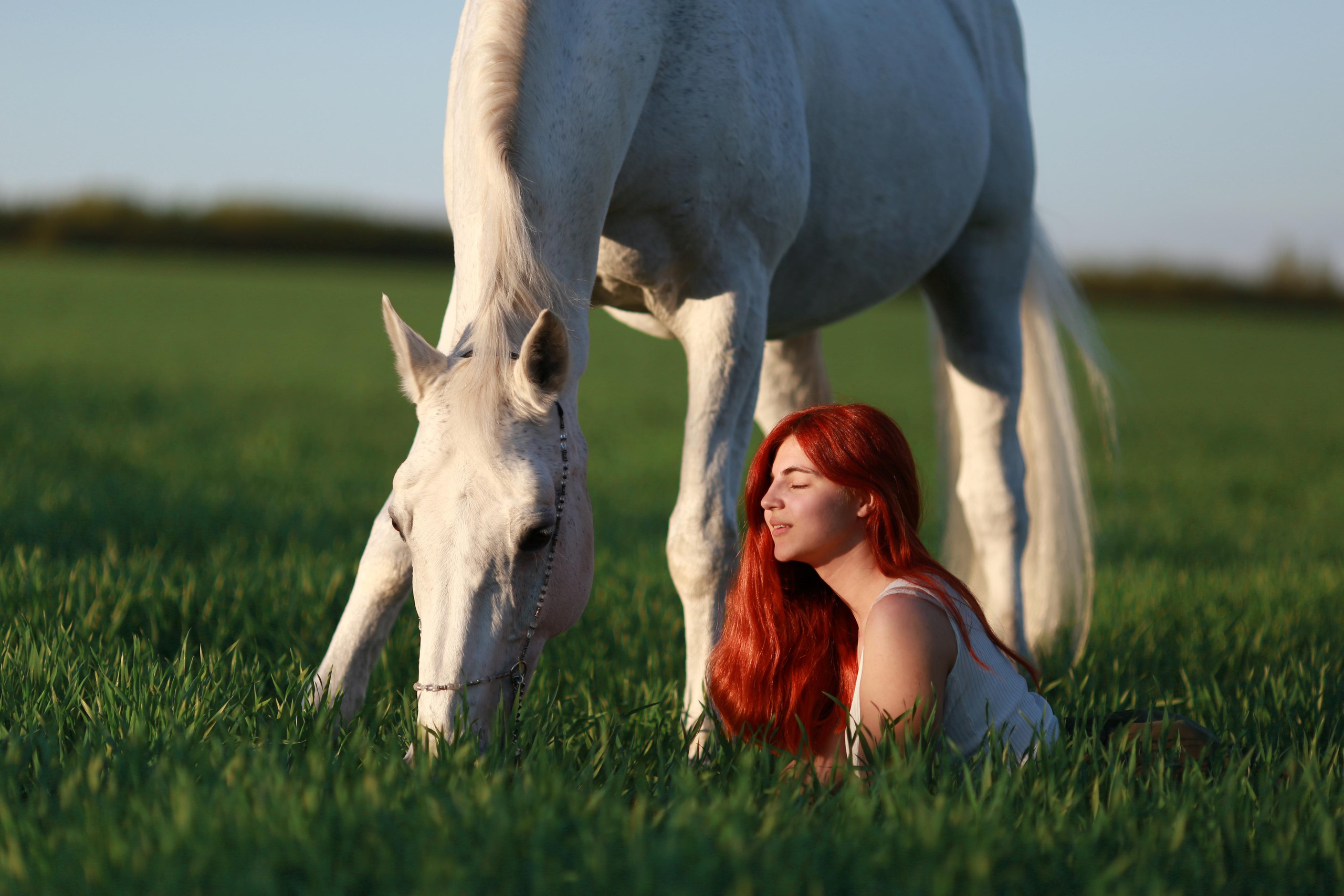 Анастасия и Калгари. Фотограф Юлия Гросс