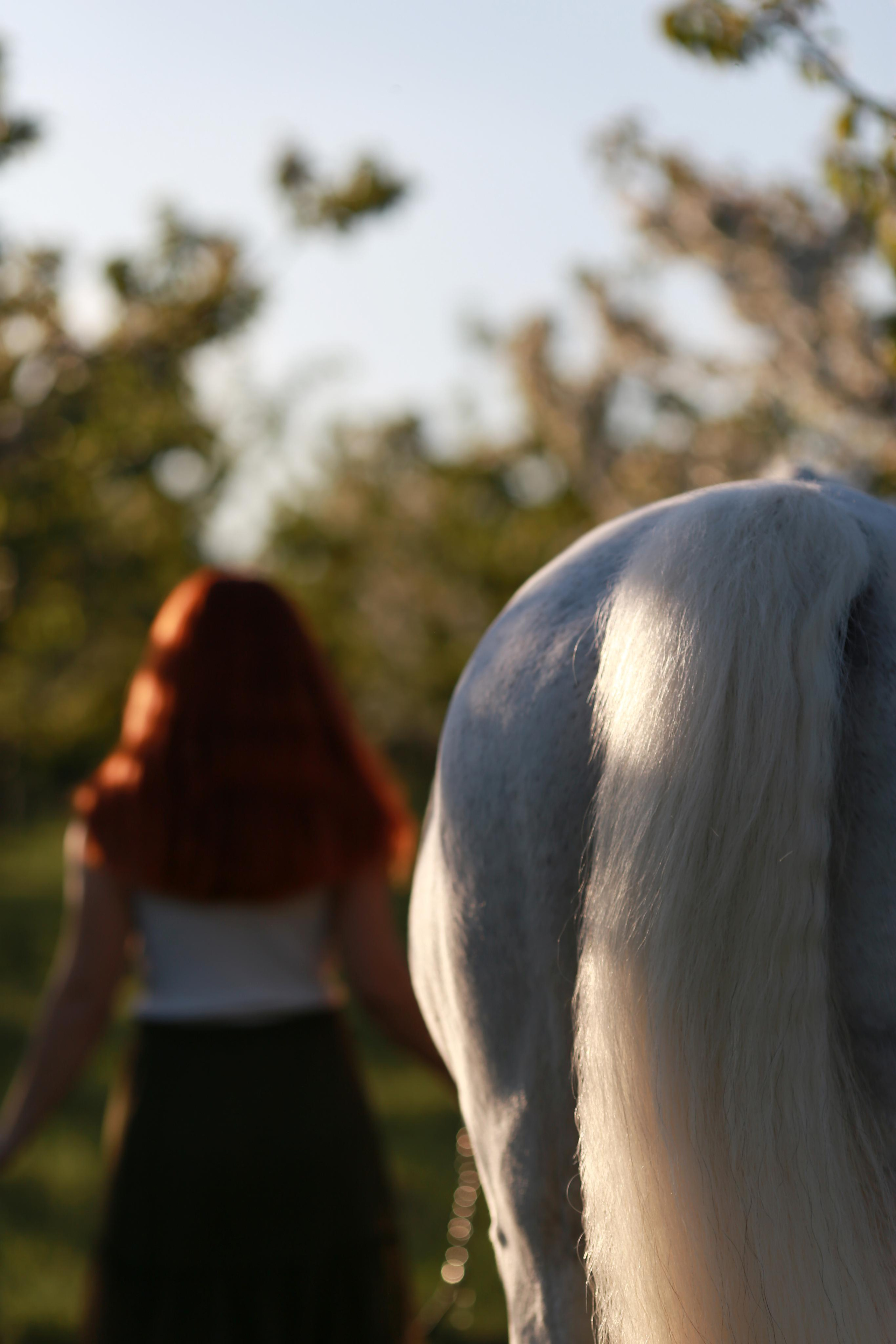 Анастасия и Калгари. Фотограф Юлия Гросс