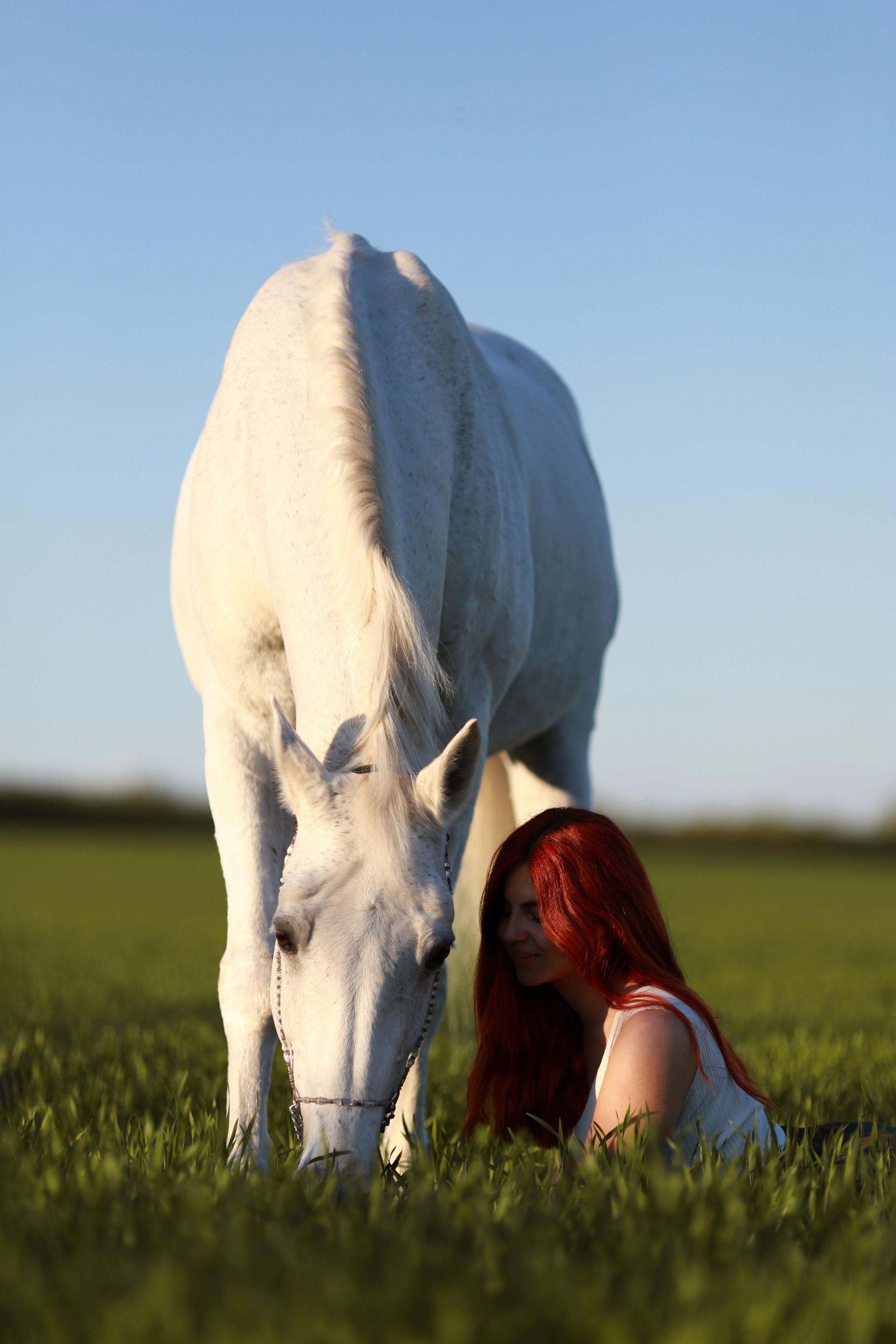 Анастасия и Калгари. Фотограф Юлия Гросс