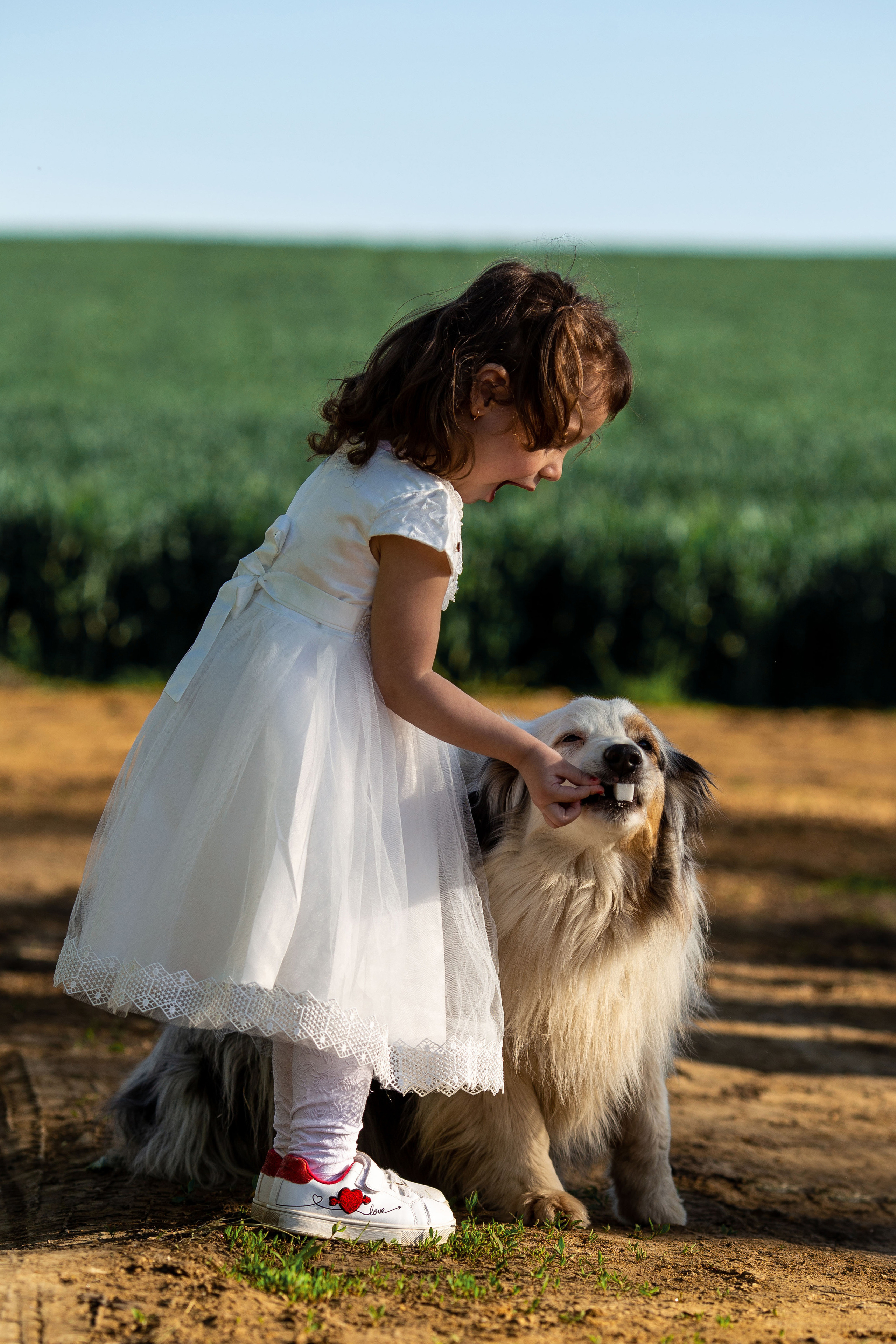Фотосессия с лошадью ростов. Фотограф Юлия Гросс