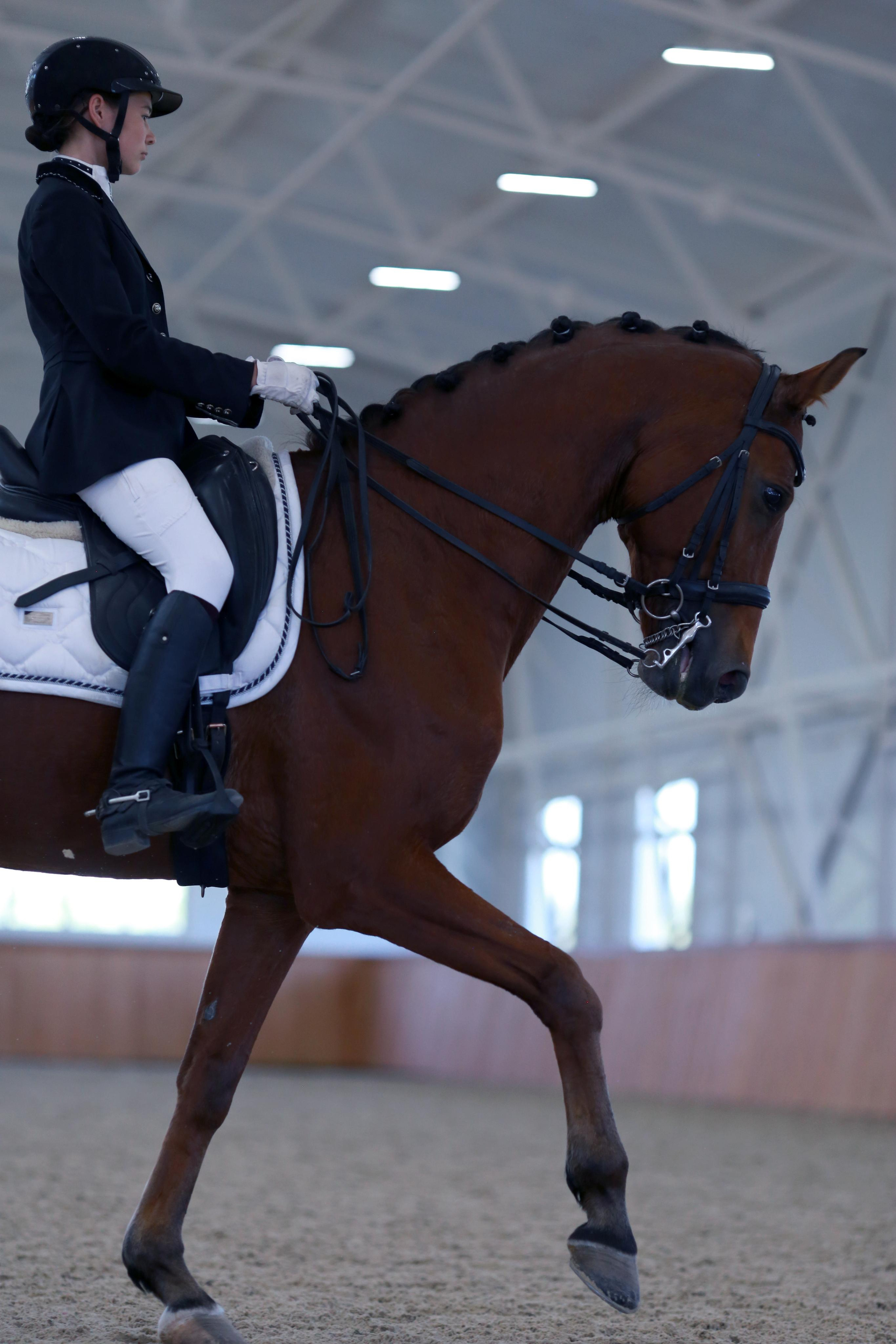 Конноспортивные соревнования. Фотограф Юлия Гросс