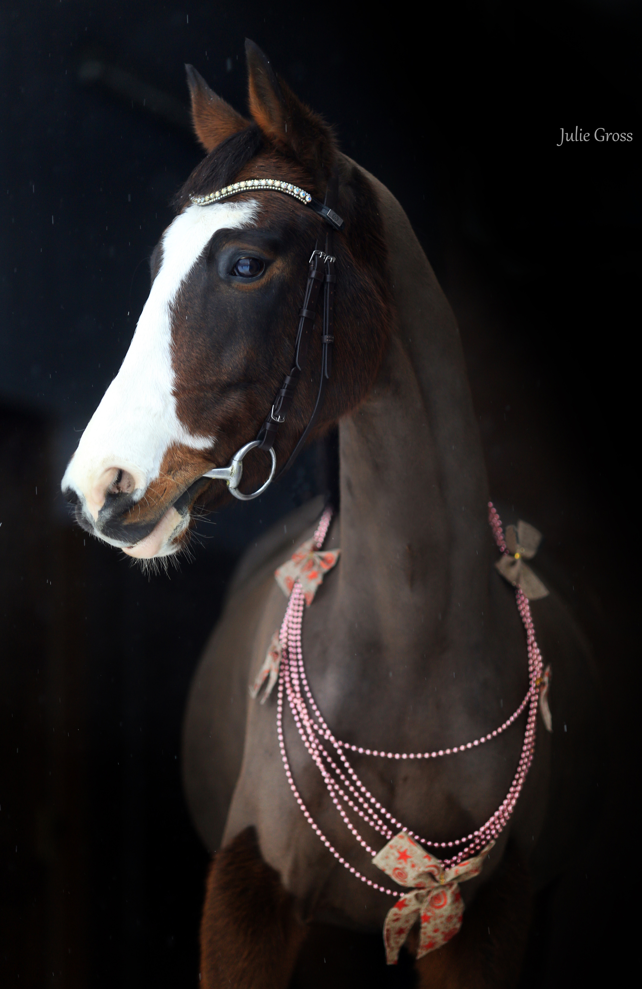 Новогоднее. Фотограф Юлия Гросс