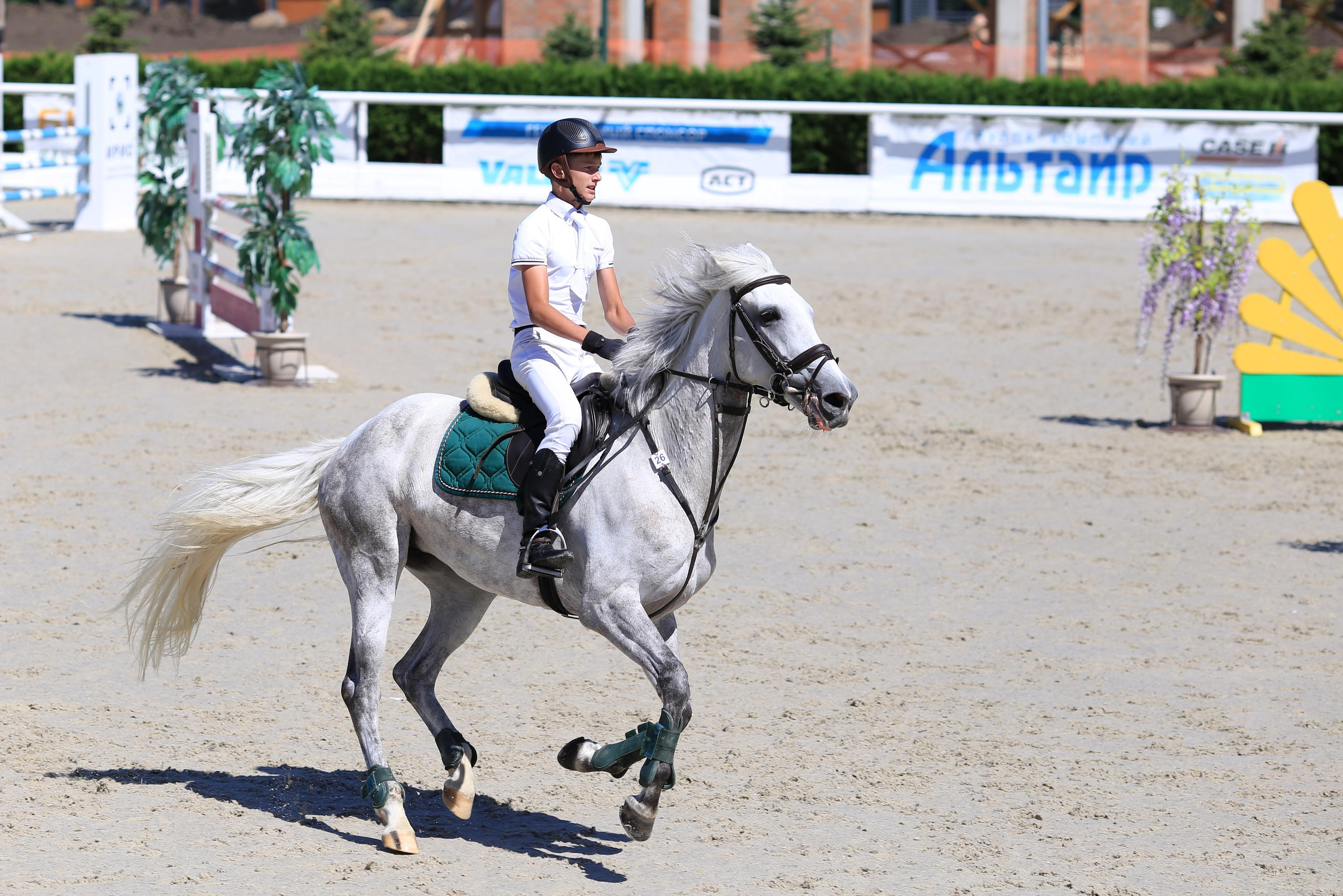 Конноспортивные соревнования. Фотограф Юлия Гросс