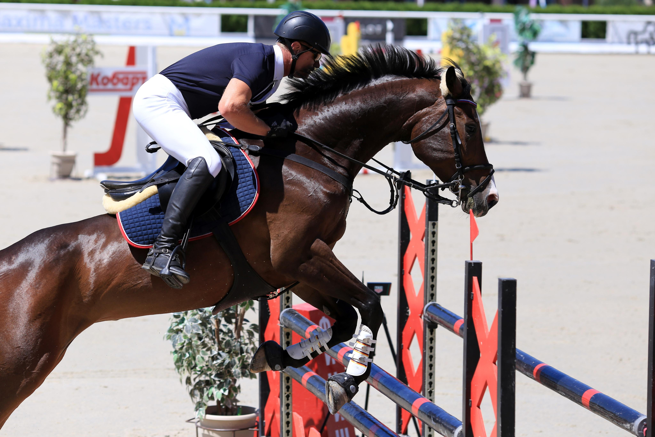 Конноспортивные соревнования. Фотограф Юлия Гросс