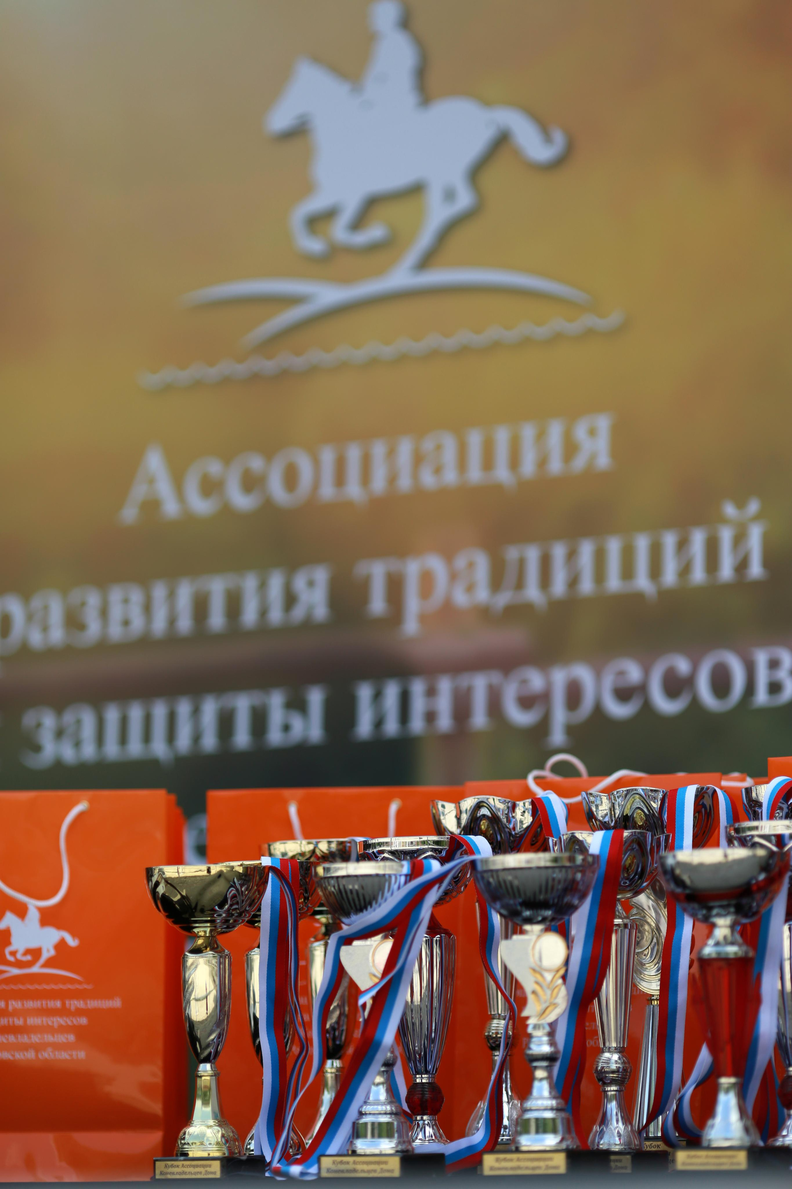 Конноспортивные соревнования. Фотограф Юлия Гросс