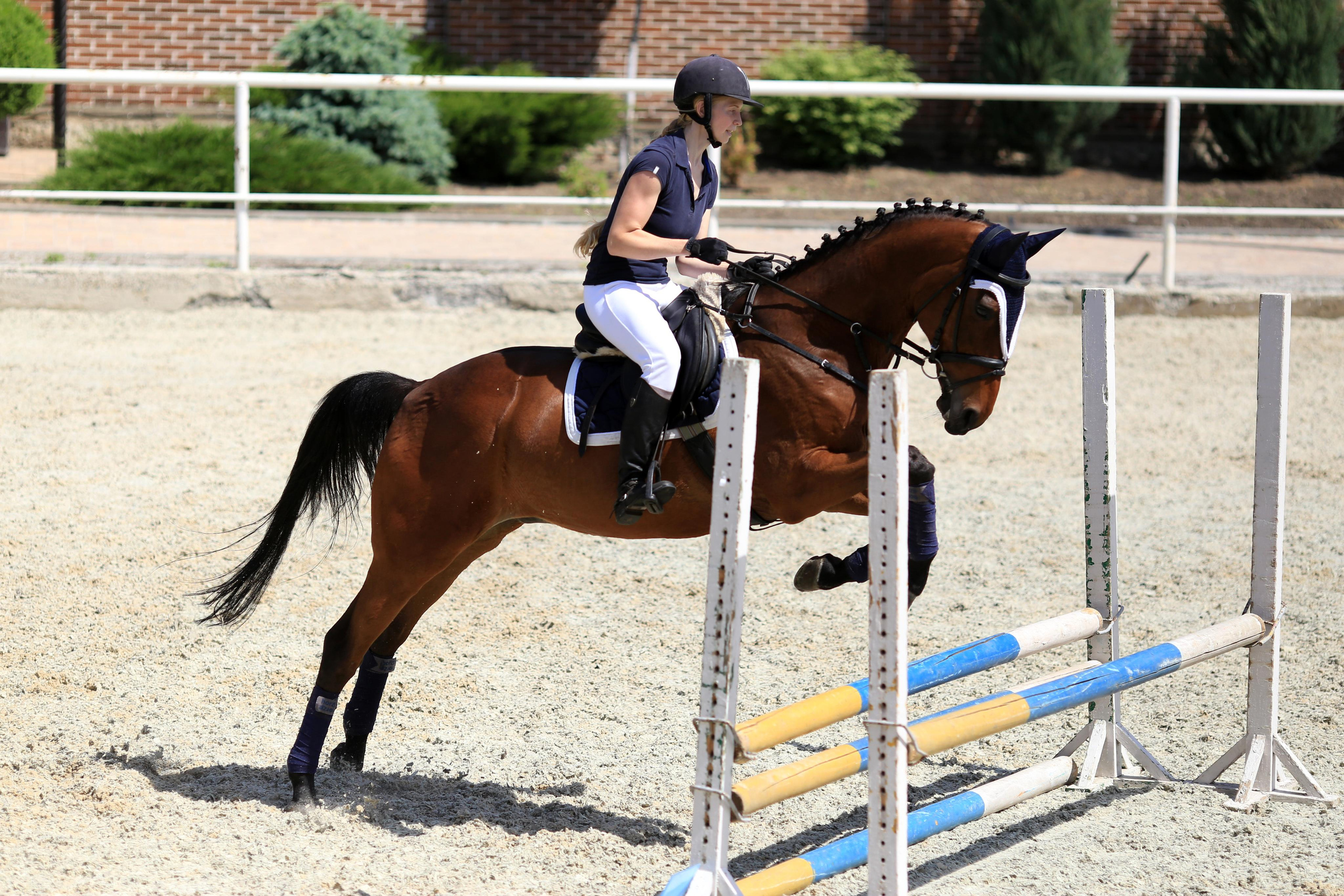 Конноспортивные соревнования. Фотограф Юлия Гросс