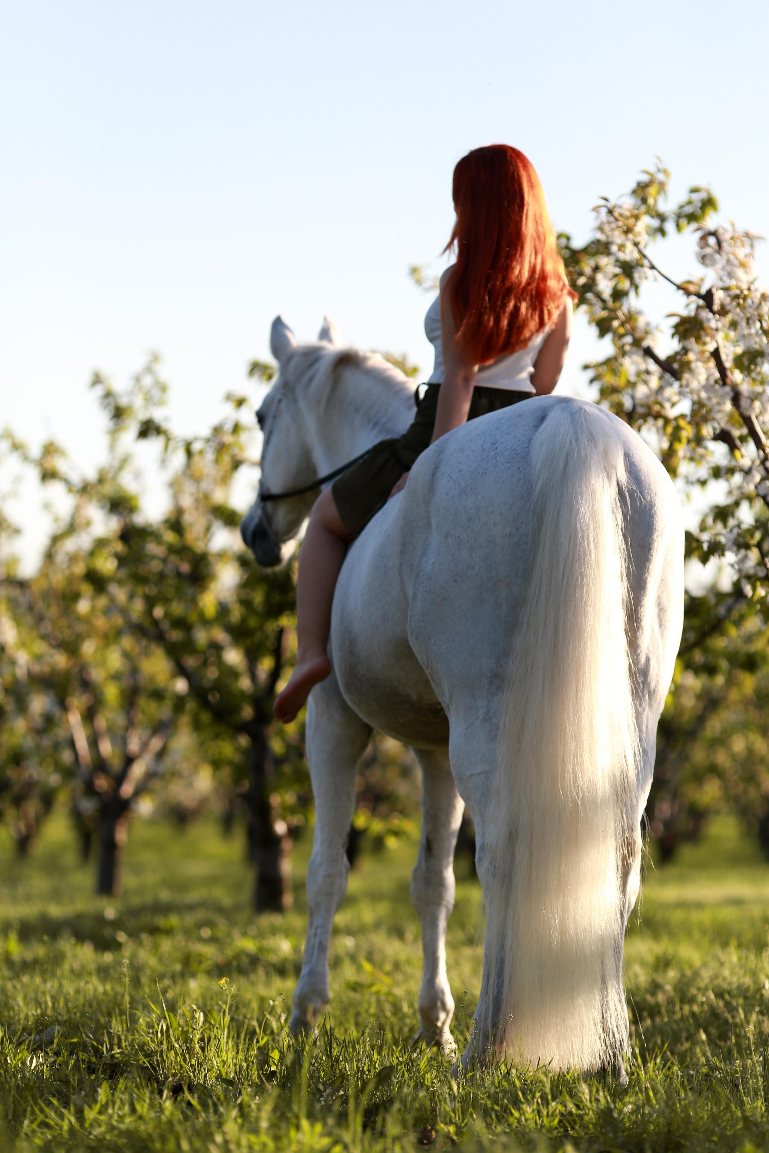 Анастасия и Калгари. Фотограф Юлия Гросс