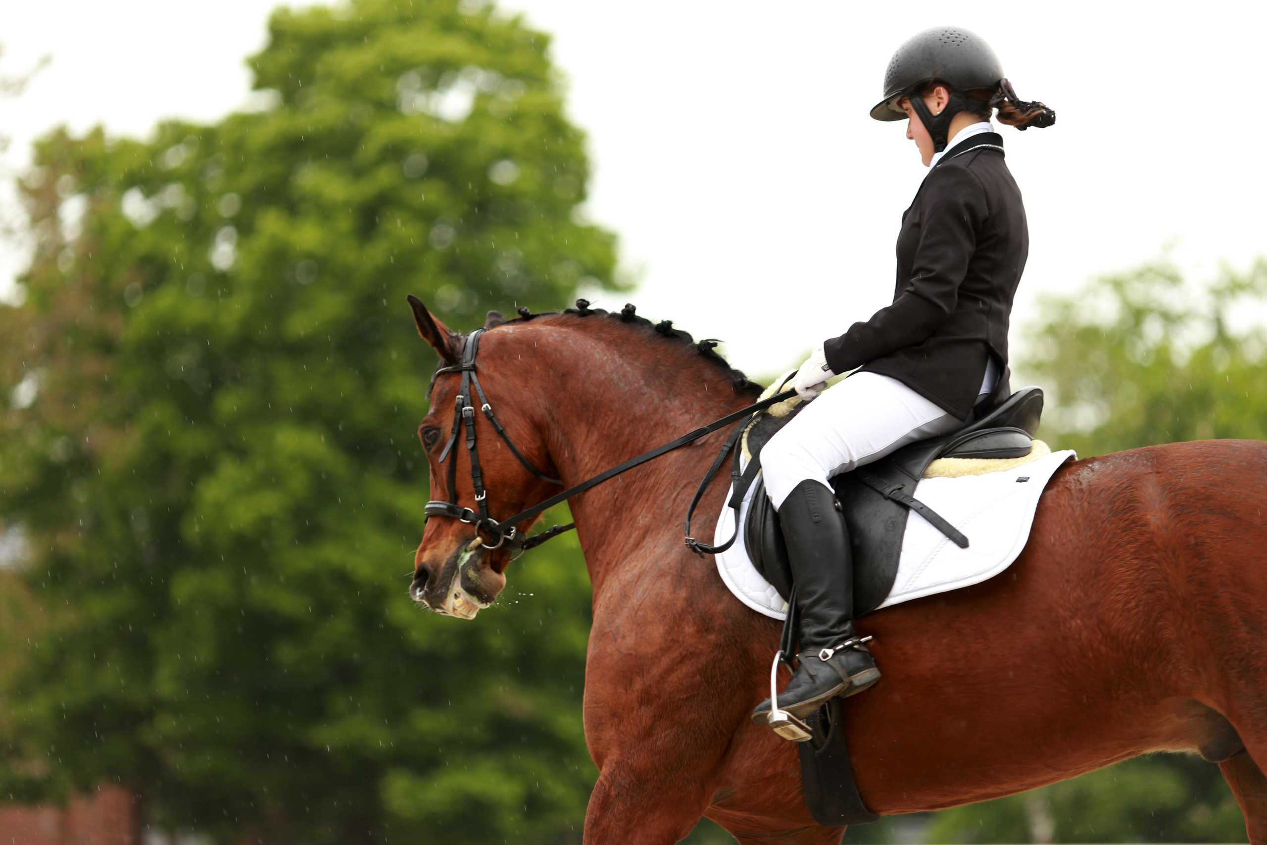 Конноспортивные соревнования. Фотограф Юлия Гросс